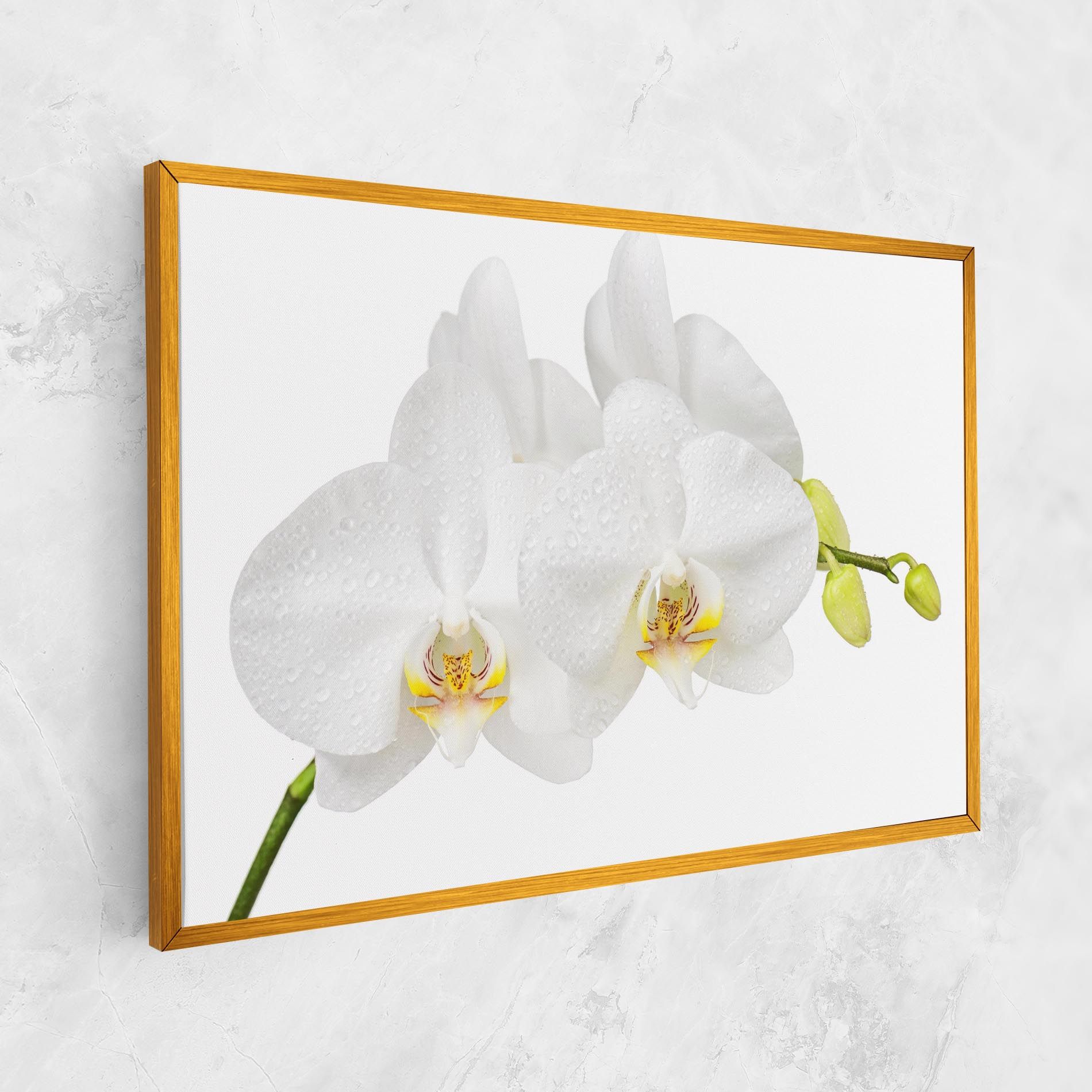 Orchids On White mockup 1