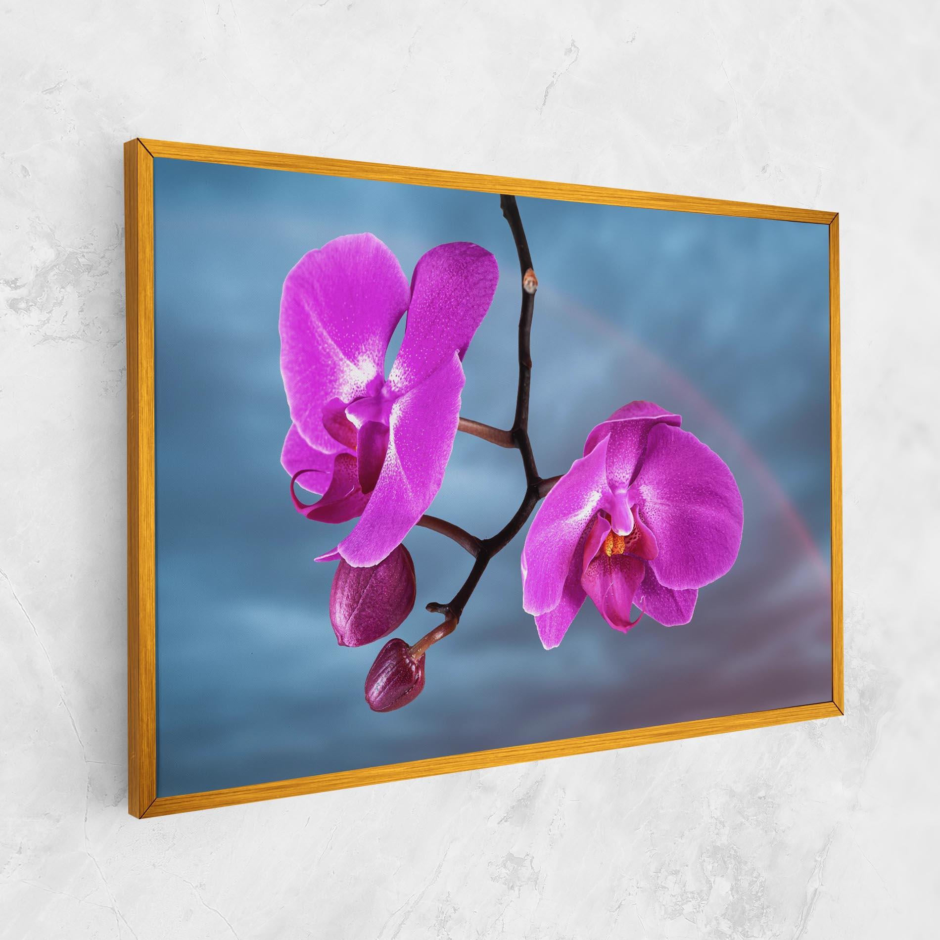 Vászonkép Sky Purple Orchid mockup 1