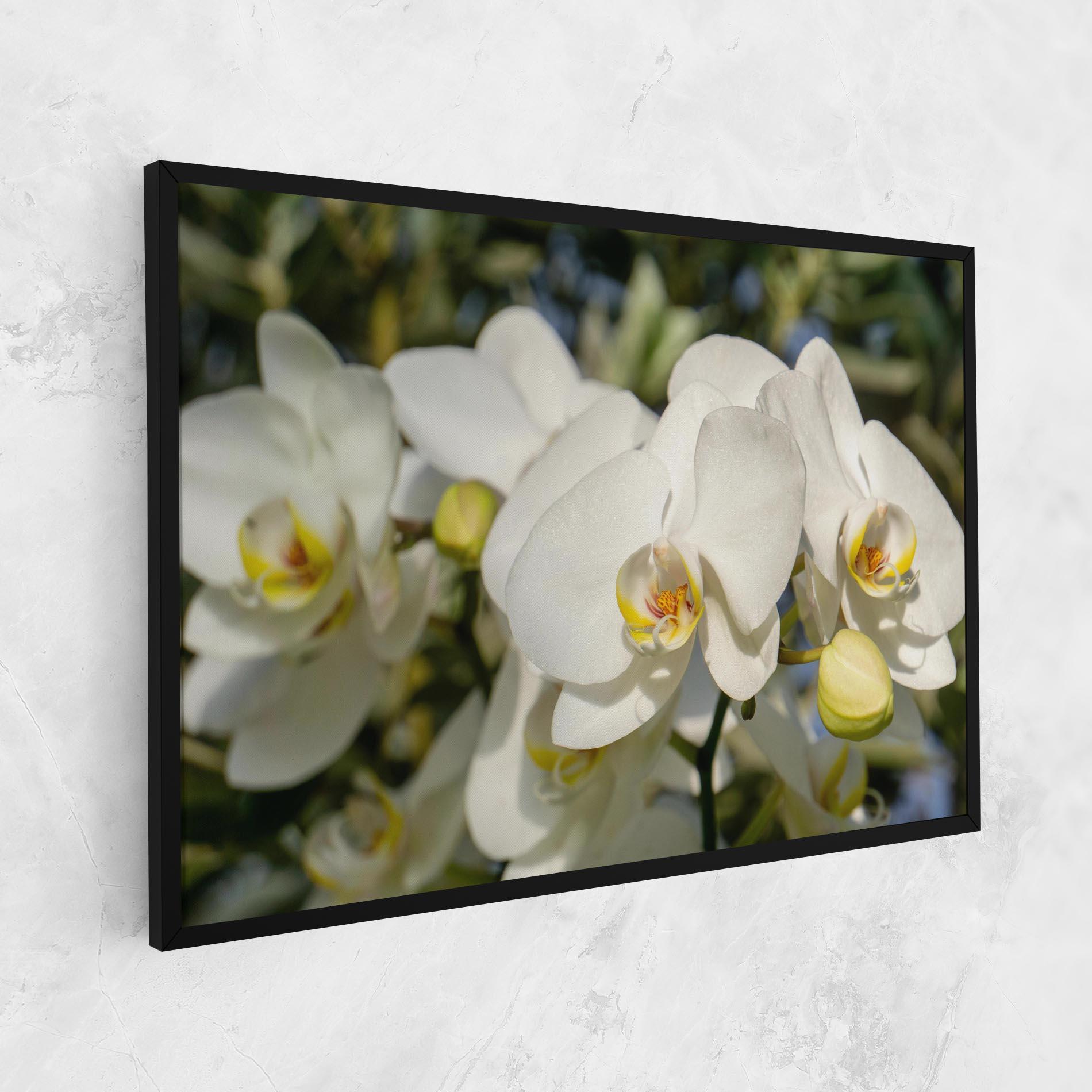 Vászonkép Big Orchids In Nature mockup 1