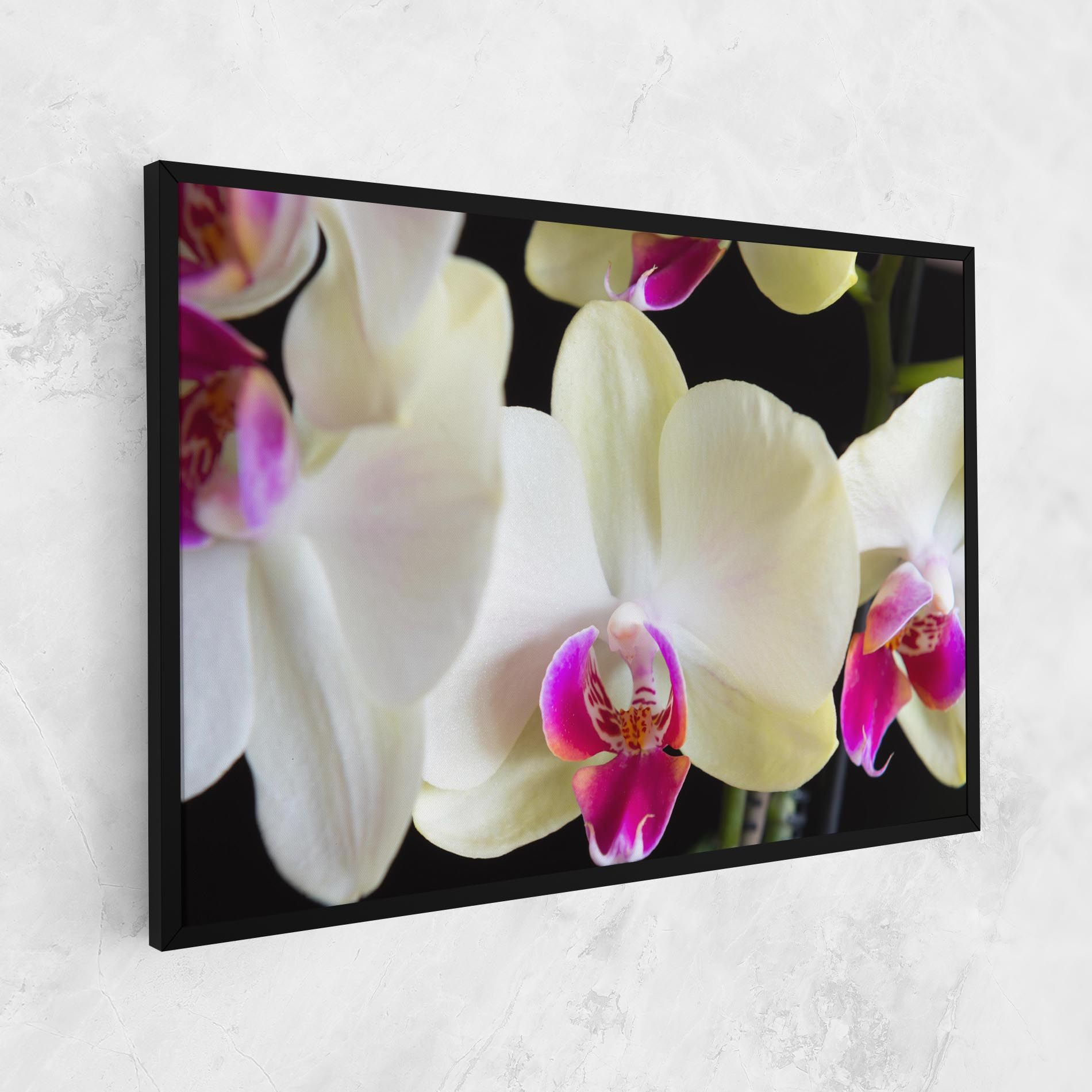 Cream Purple Orchids mockup 1