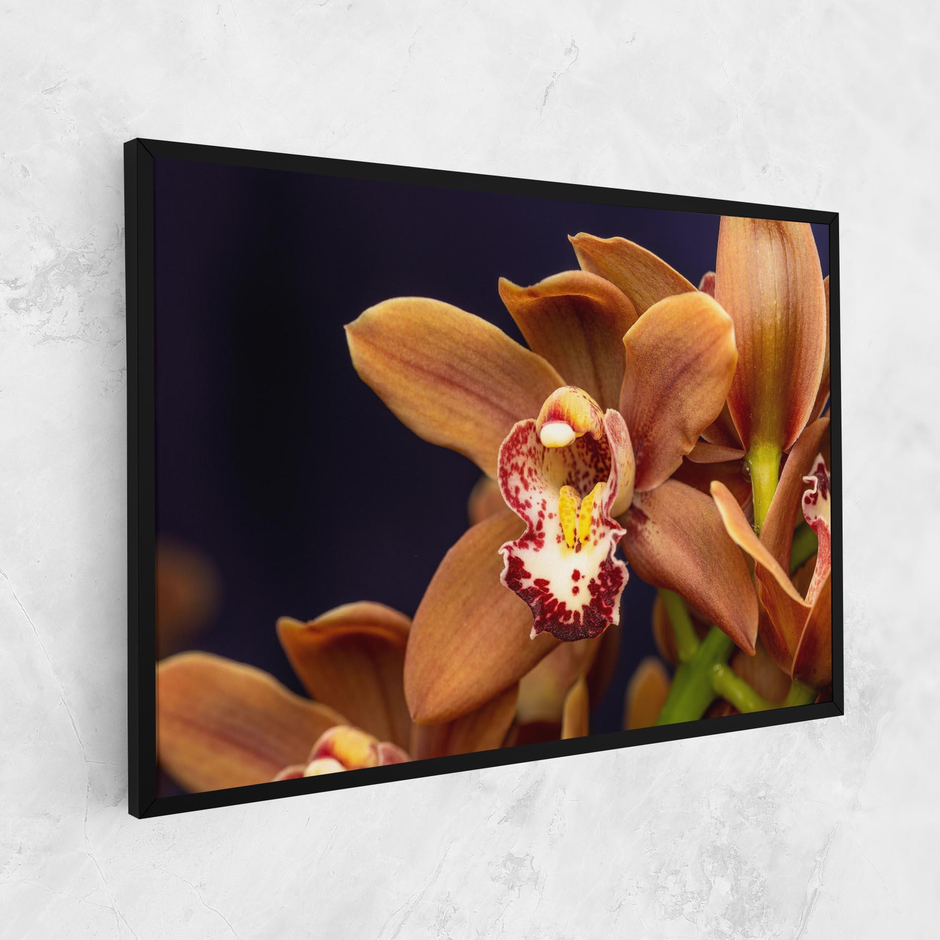 Vászonkép Dirty Orange Orchid mockup 1