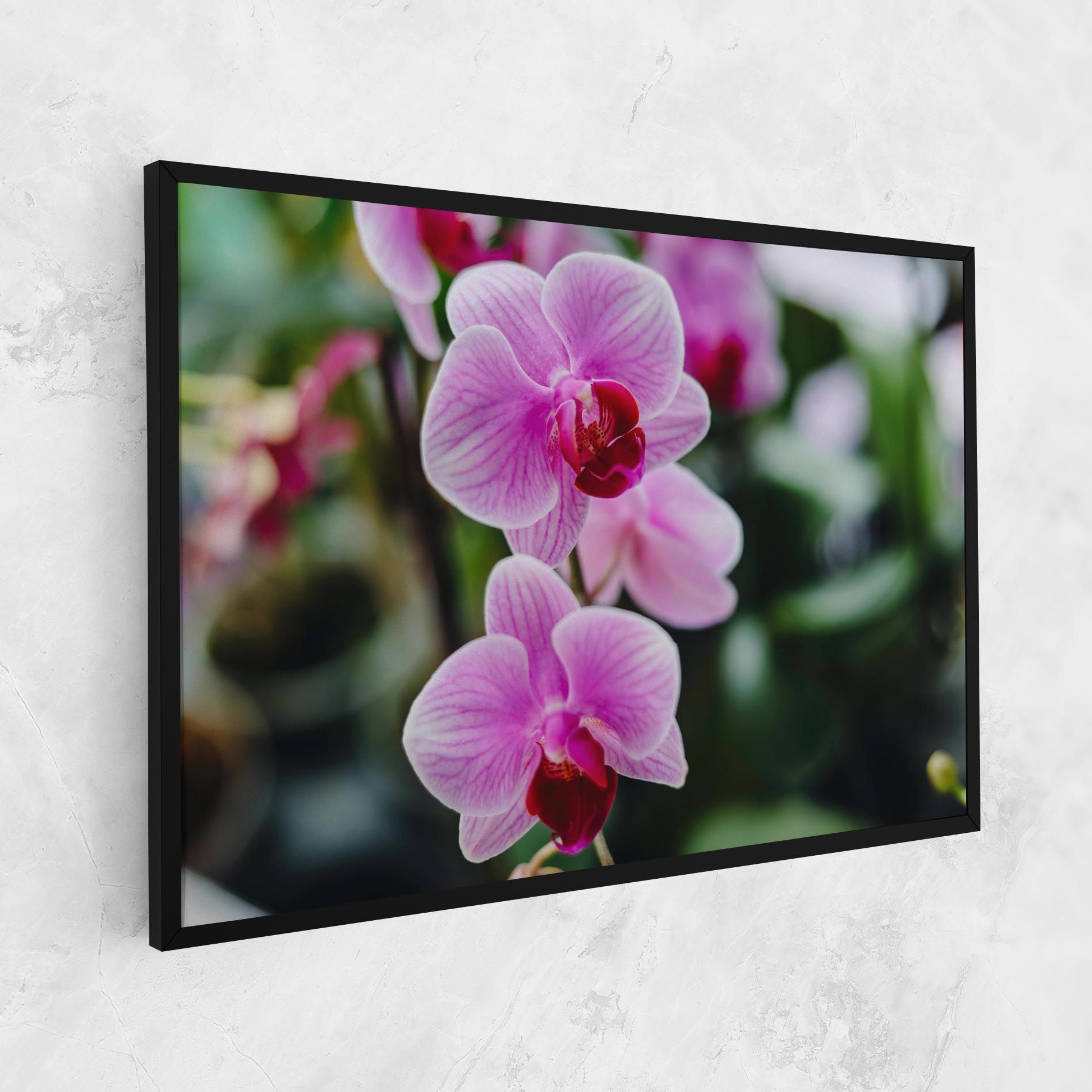 Garden Purple Orchids mockup 1