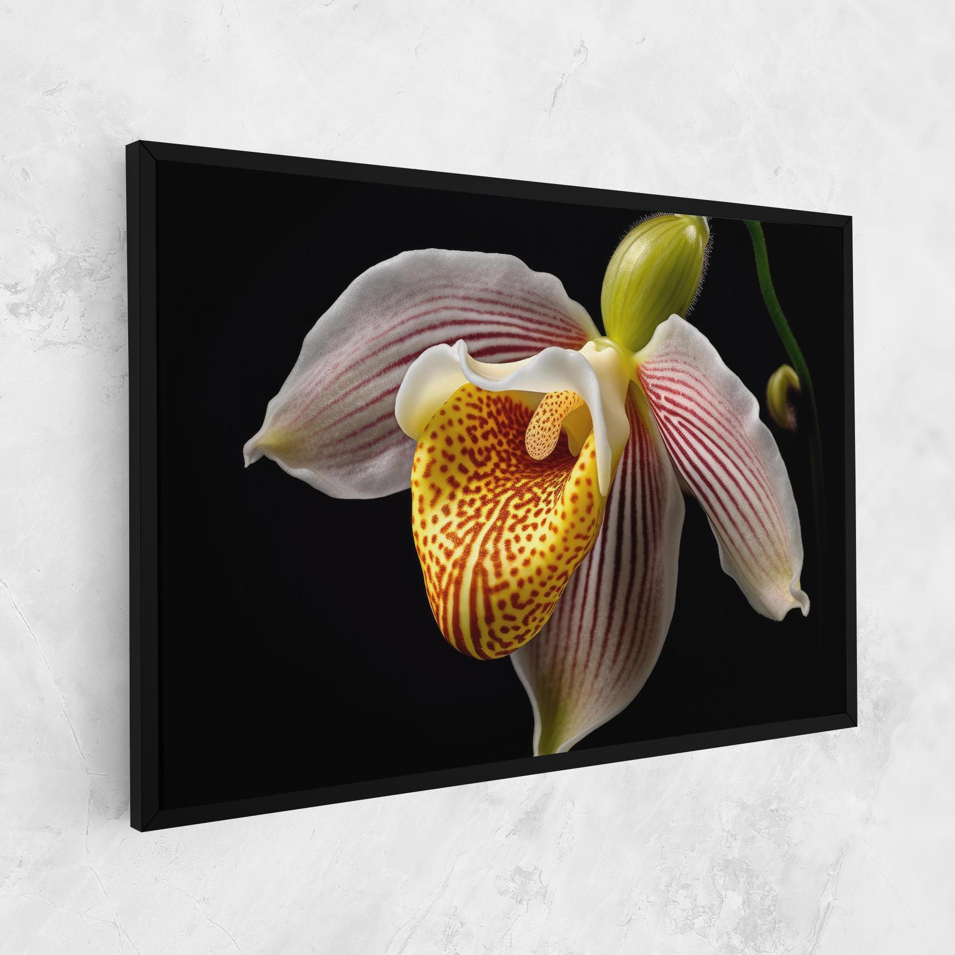 Orchid On Black mockup 1