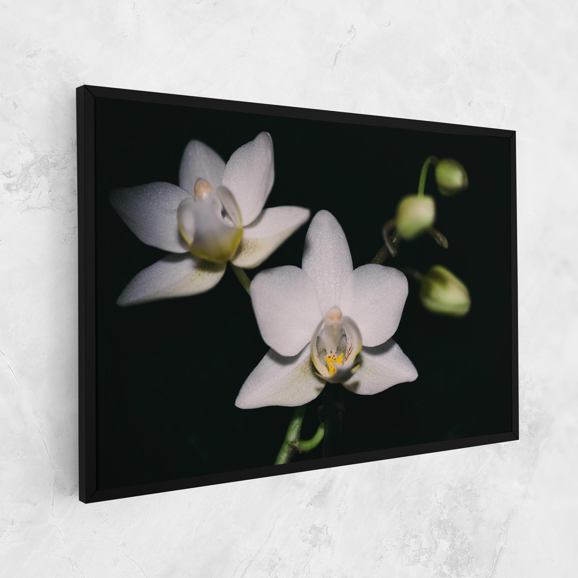 Vászonkép Orchids On Black mockup 1