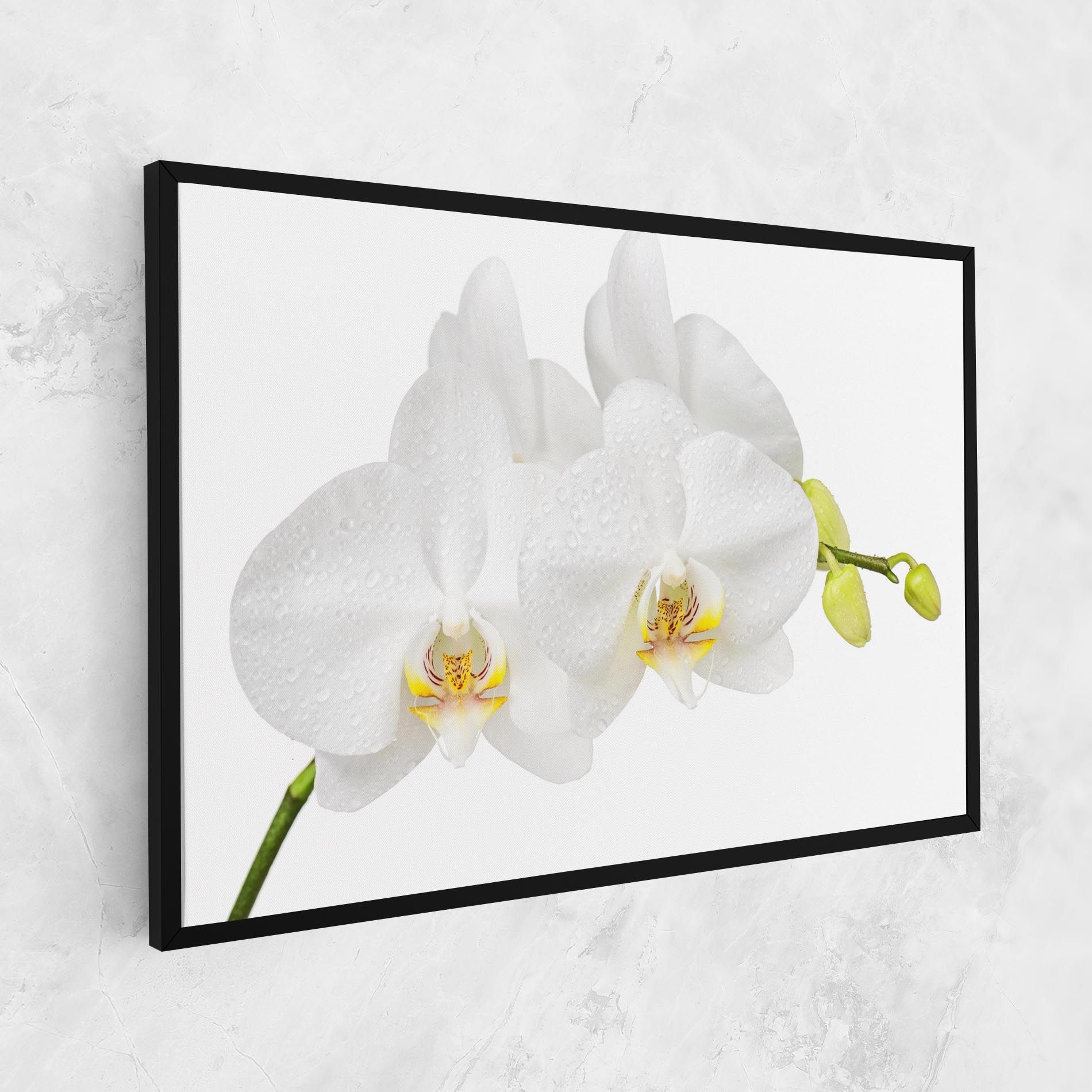 Orchids On White mockup 1