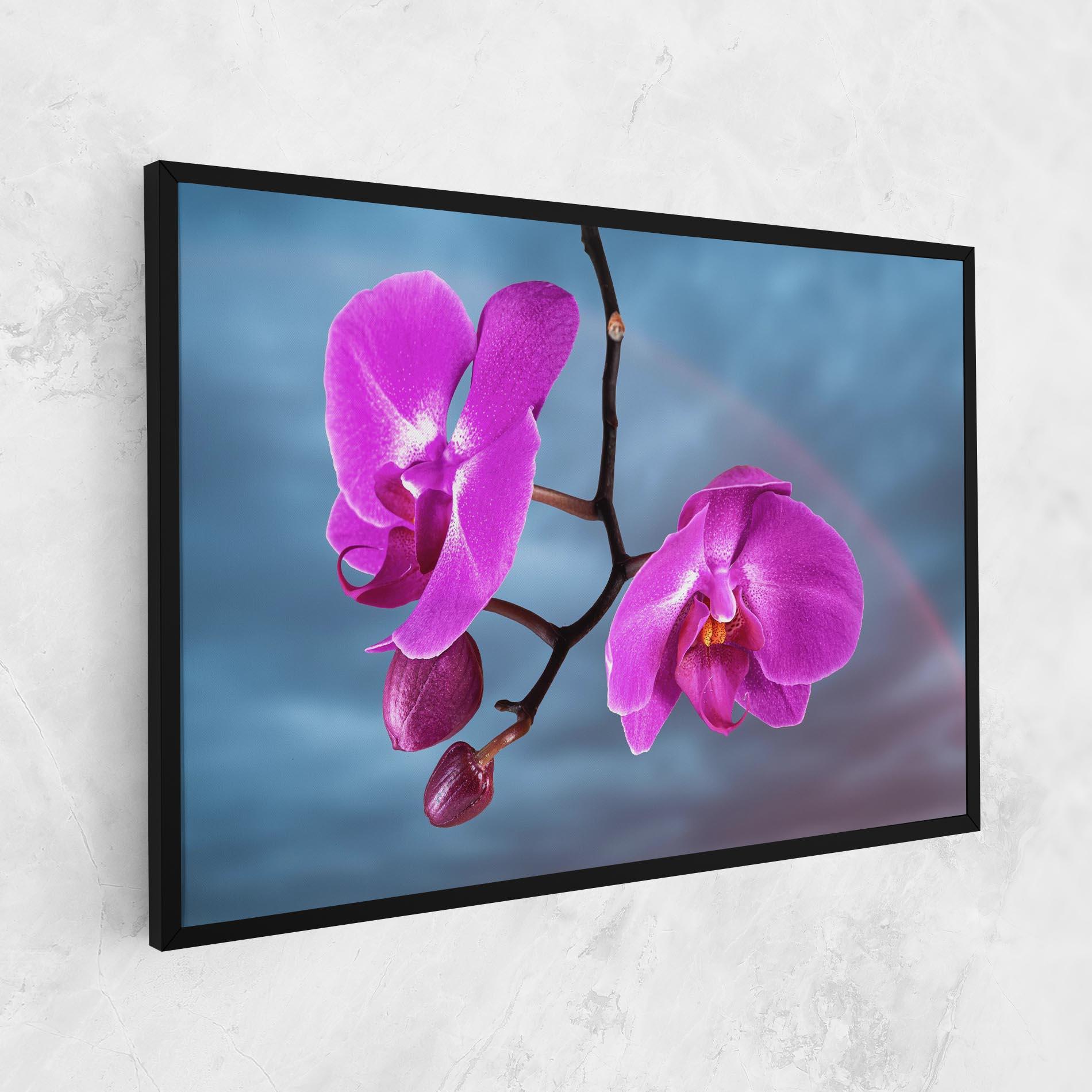 Vászonkép Sky Purple Orchid mockup 1