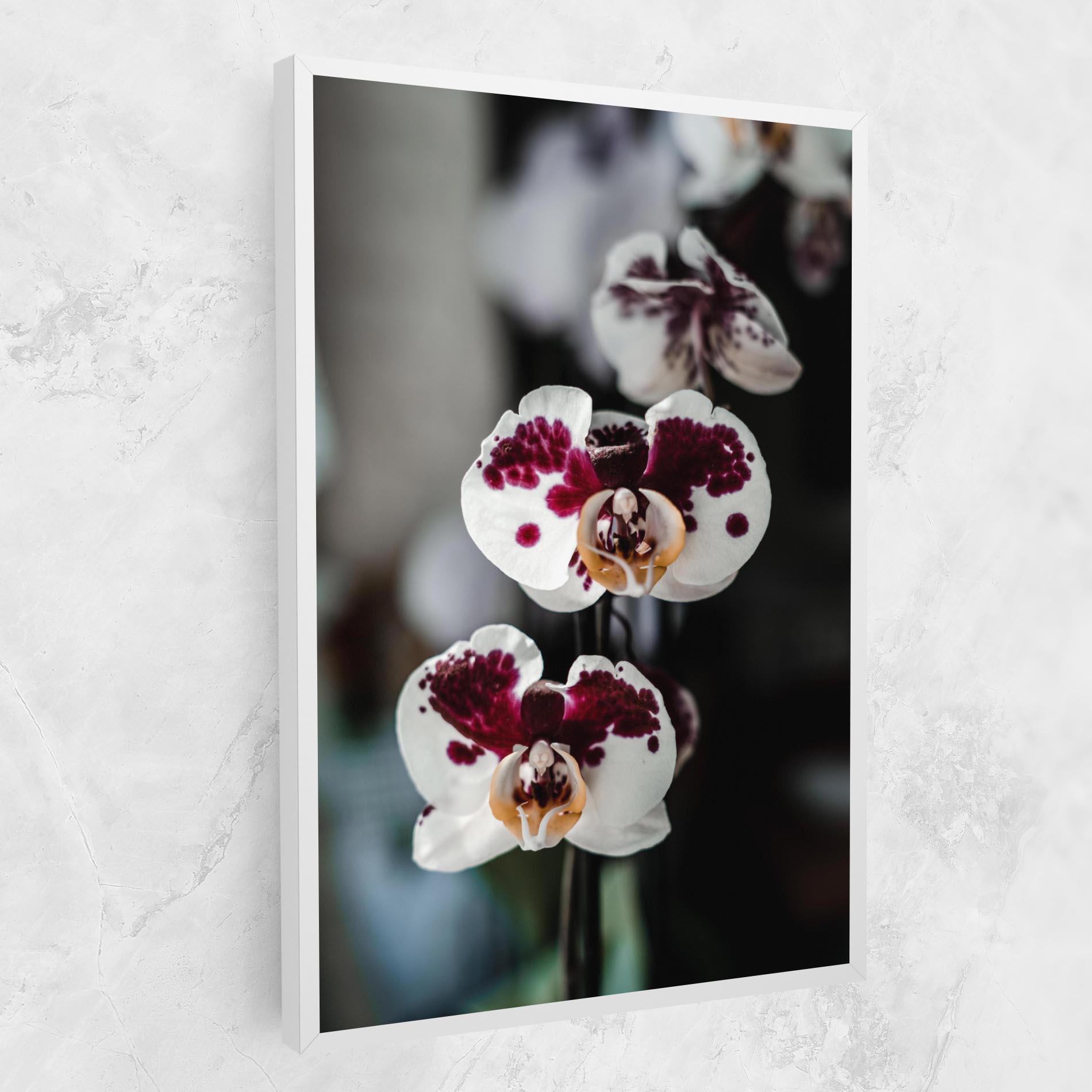 Vászonkép Dark Purple Orchid mockup 1