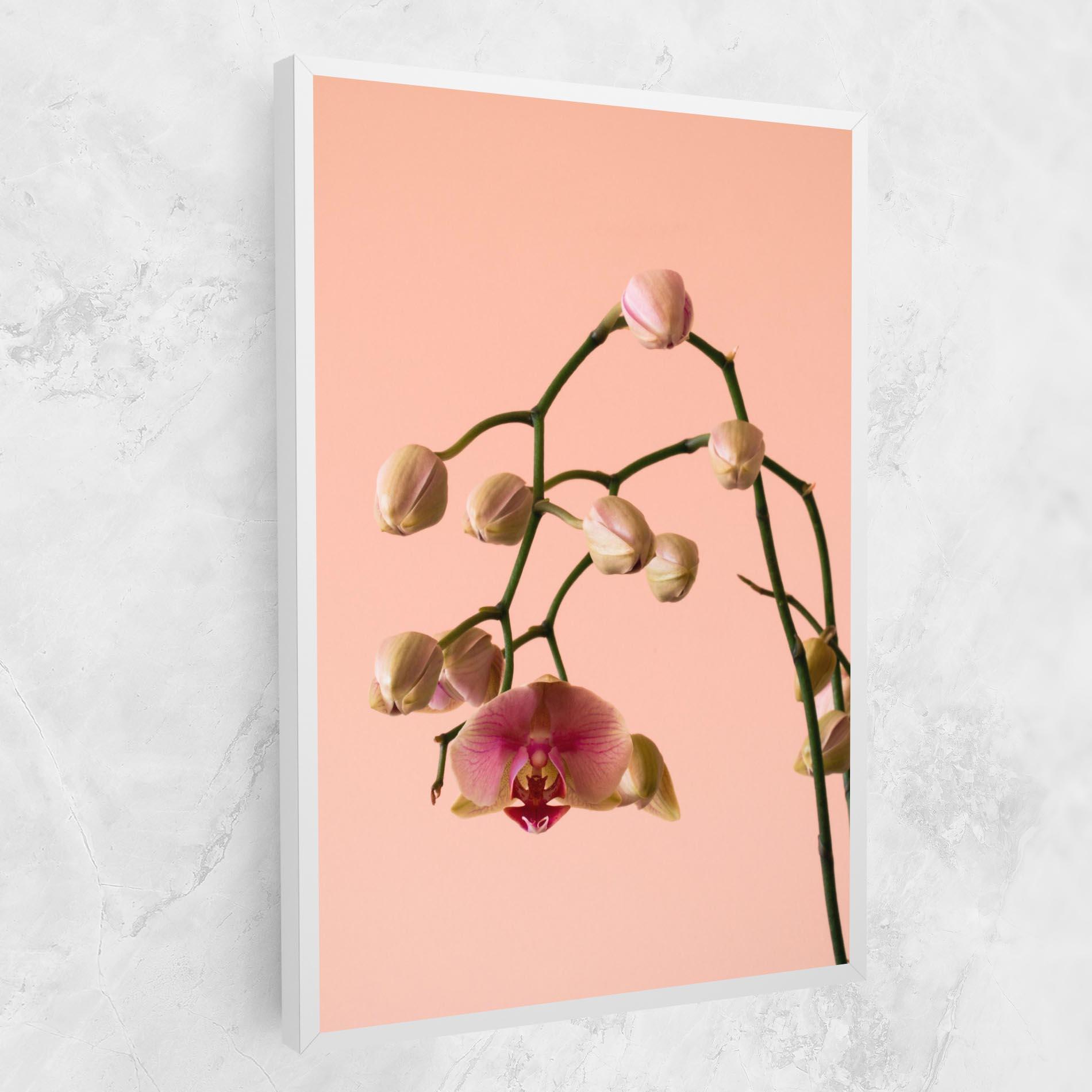 Vászonkép Orchids On Pink mockup 1