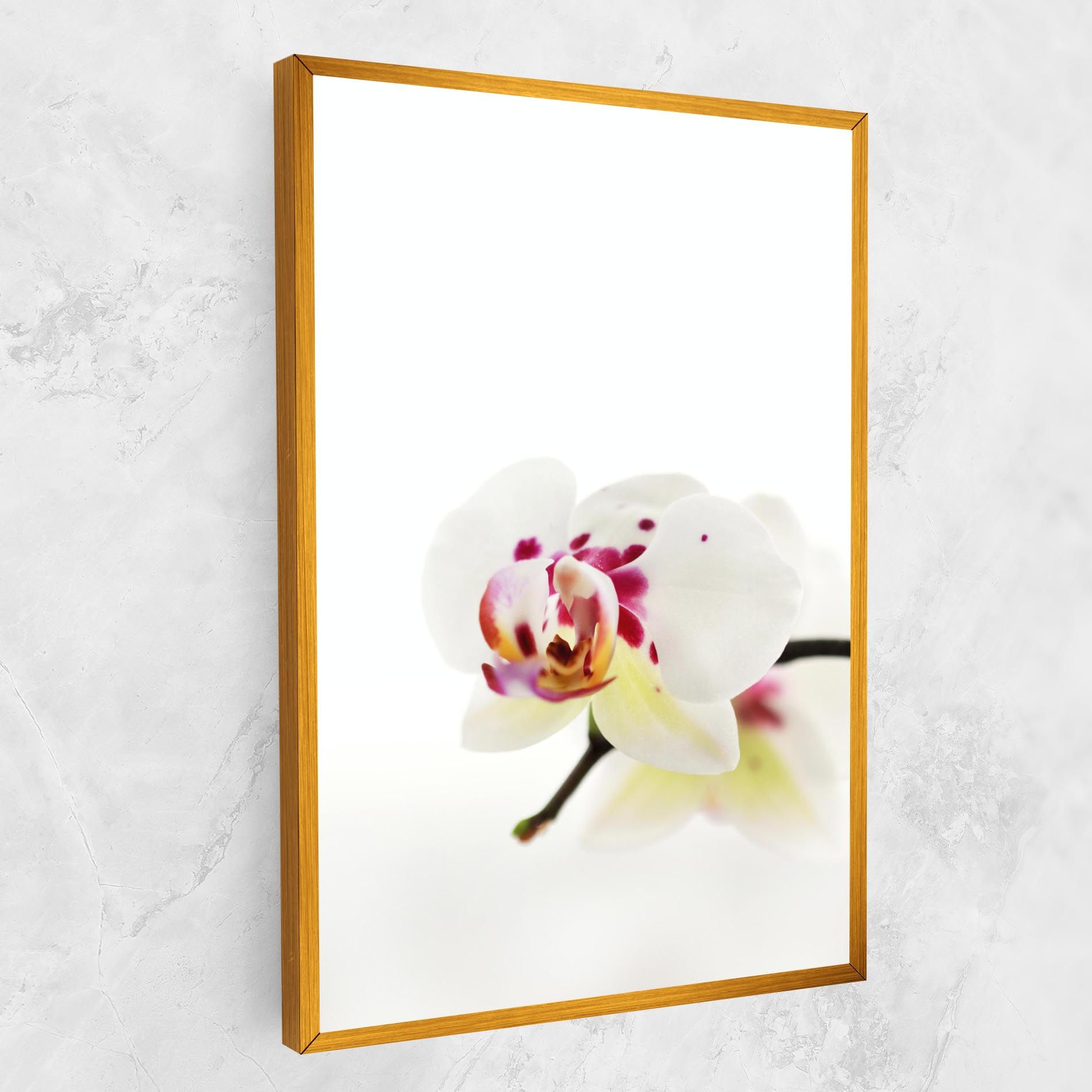 Clean White Orchid mockup 1