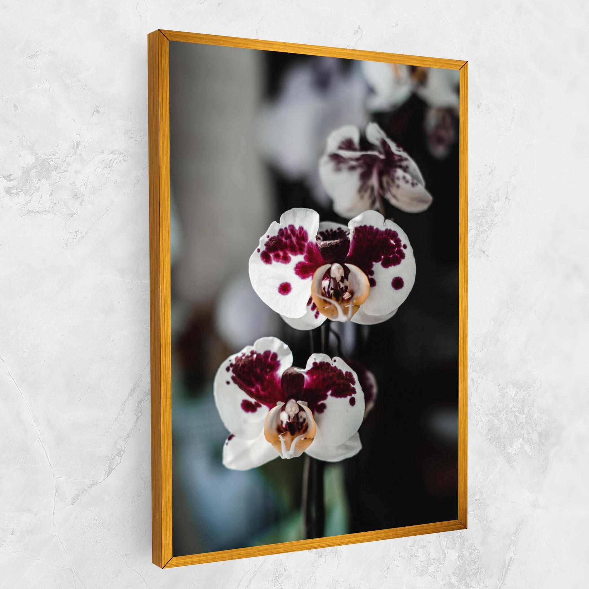 Vászonkép Dark Purple Orchid mockup 1