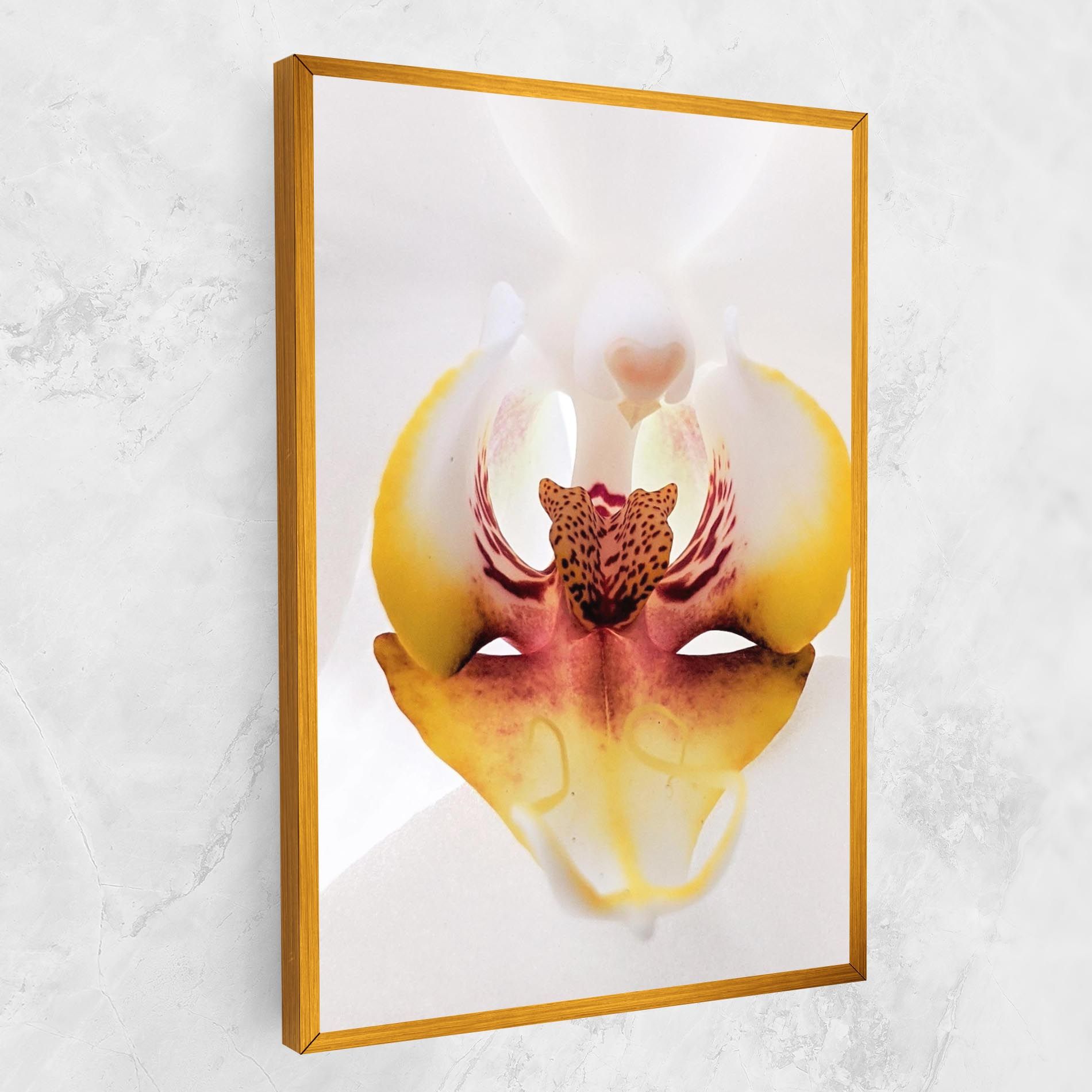 Orchid Close Up mockup 1