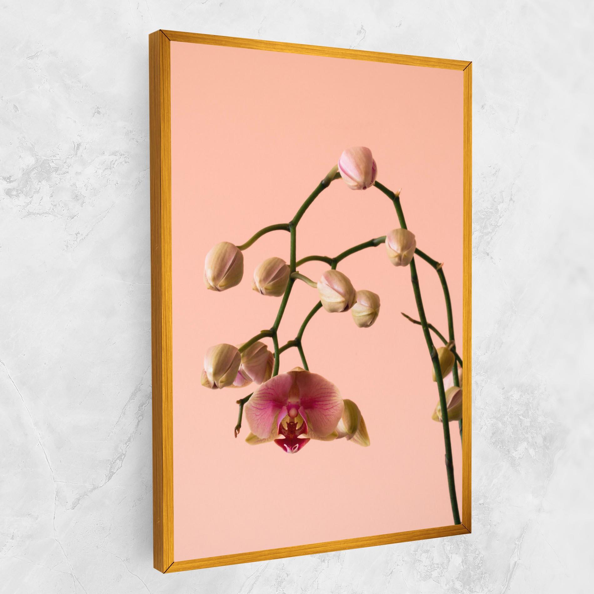 Vászonkép Orchids On Pink mockup 1