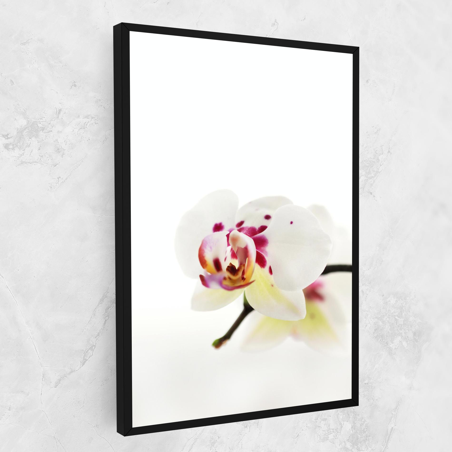 Clean White Orchid mockup 1