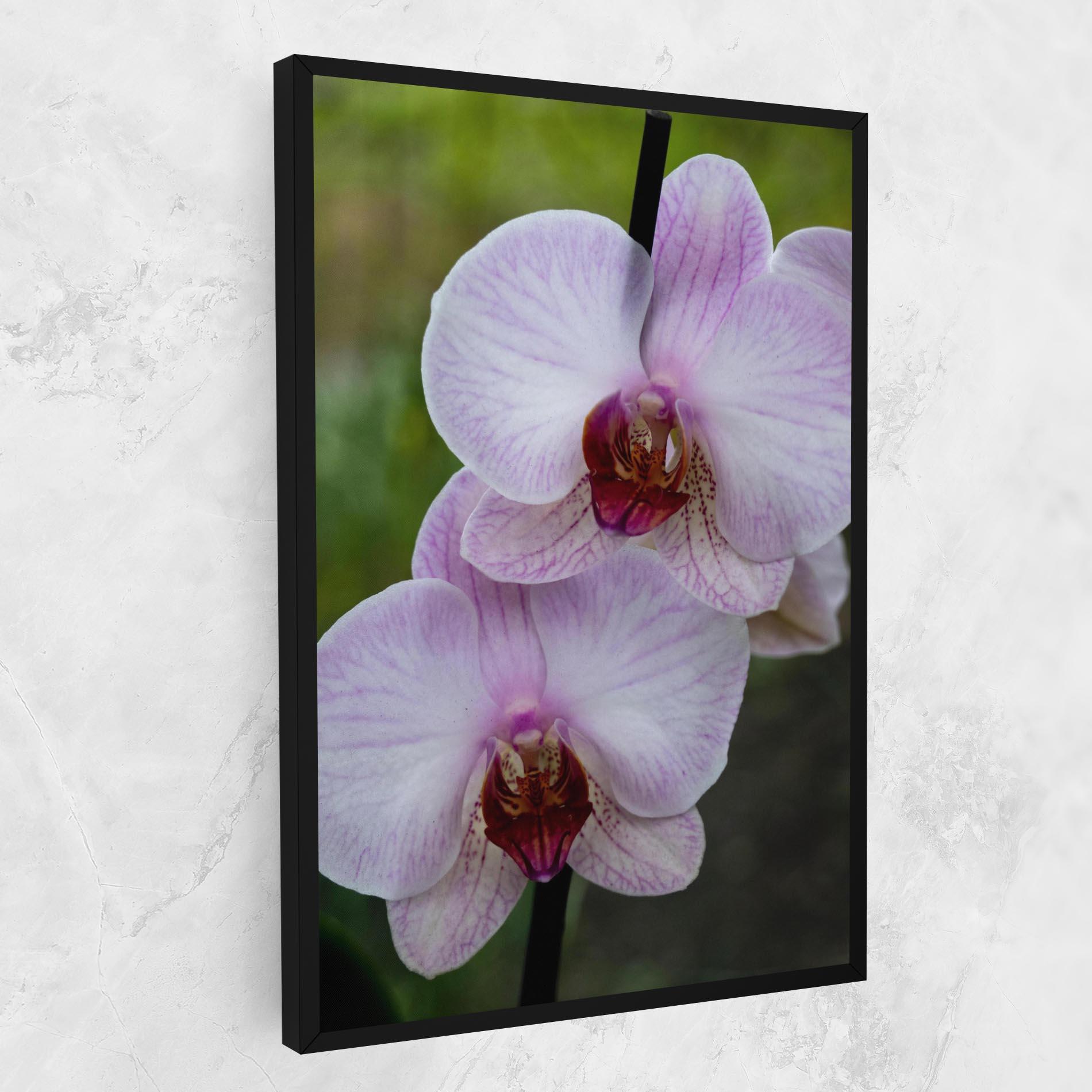 Vászonkép Garden Light Purple Orchid mockup 1