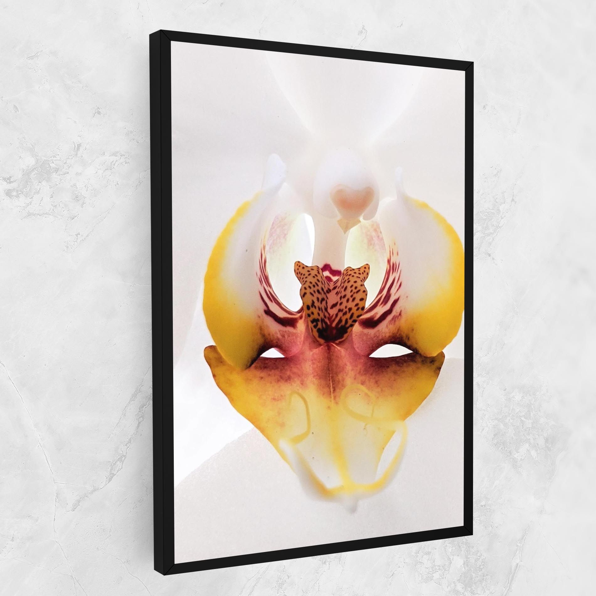 Orchid Close Up mockup 1