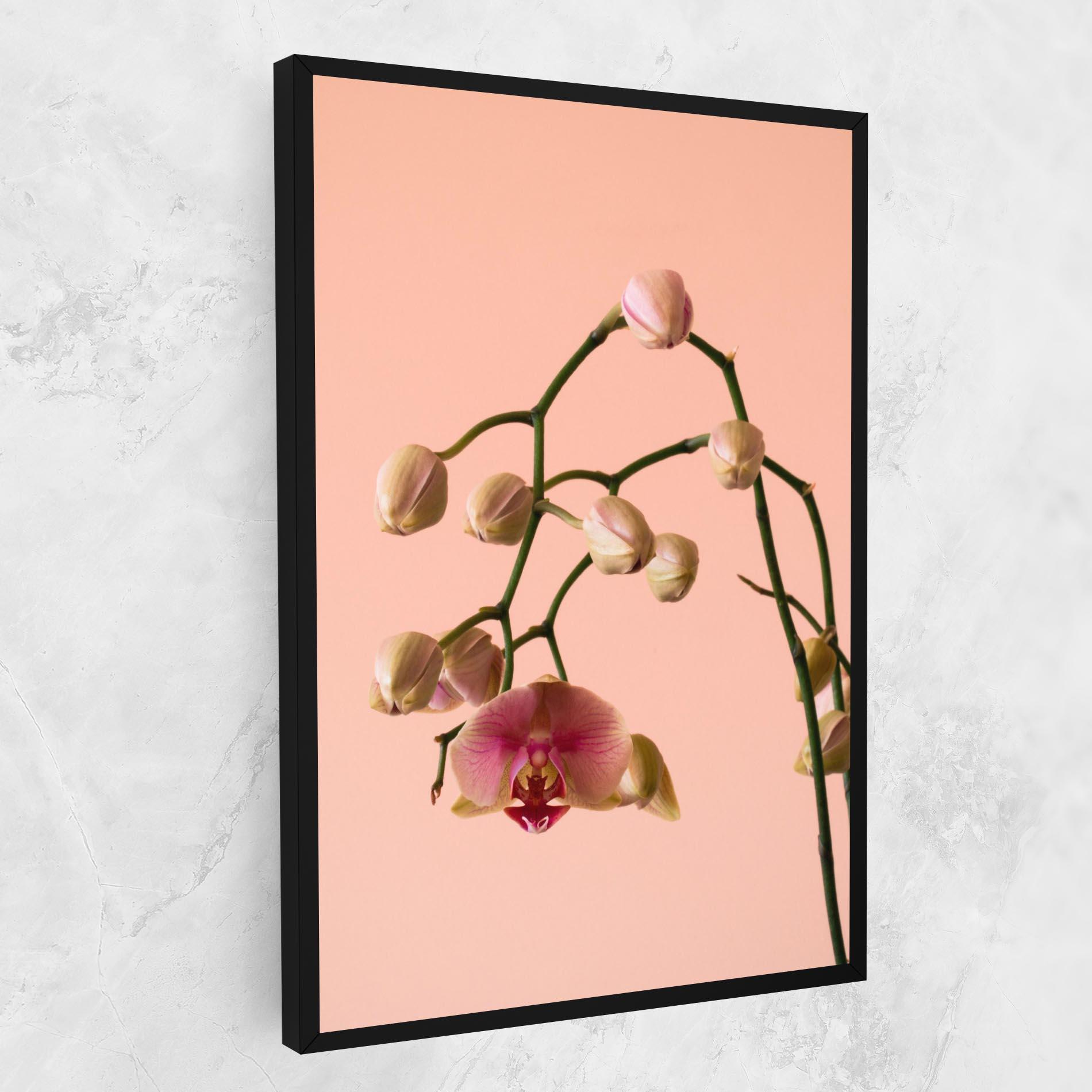 Vászonkép Orchids On Pink mockup 1