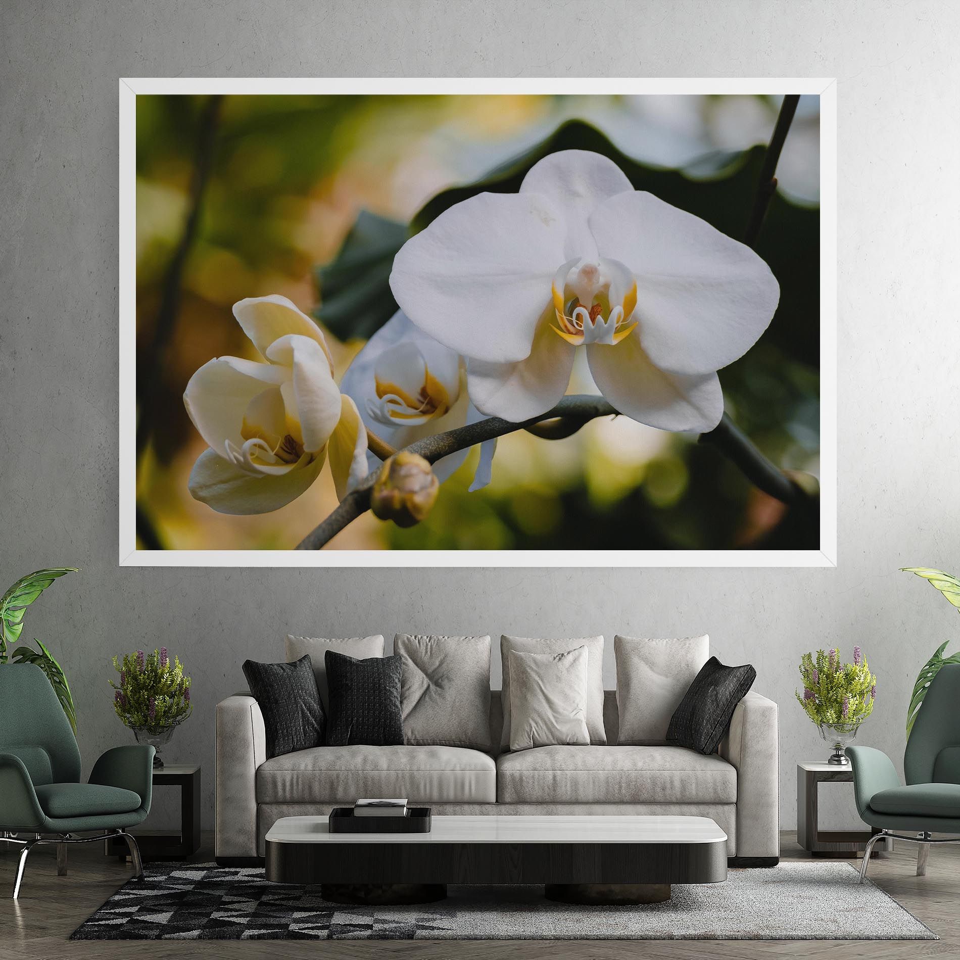 Cream Orchid In Nature mockup 7
