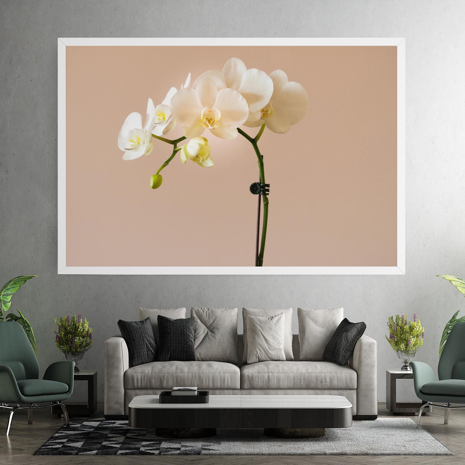 Cream Orchid On Pink mockup 7