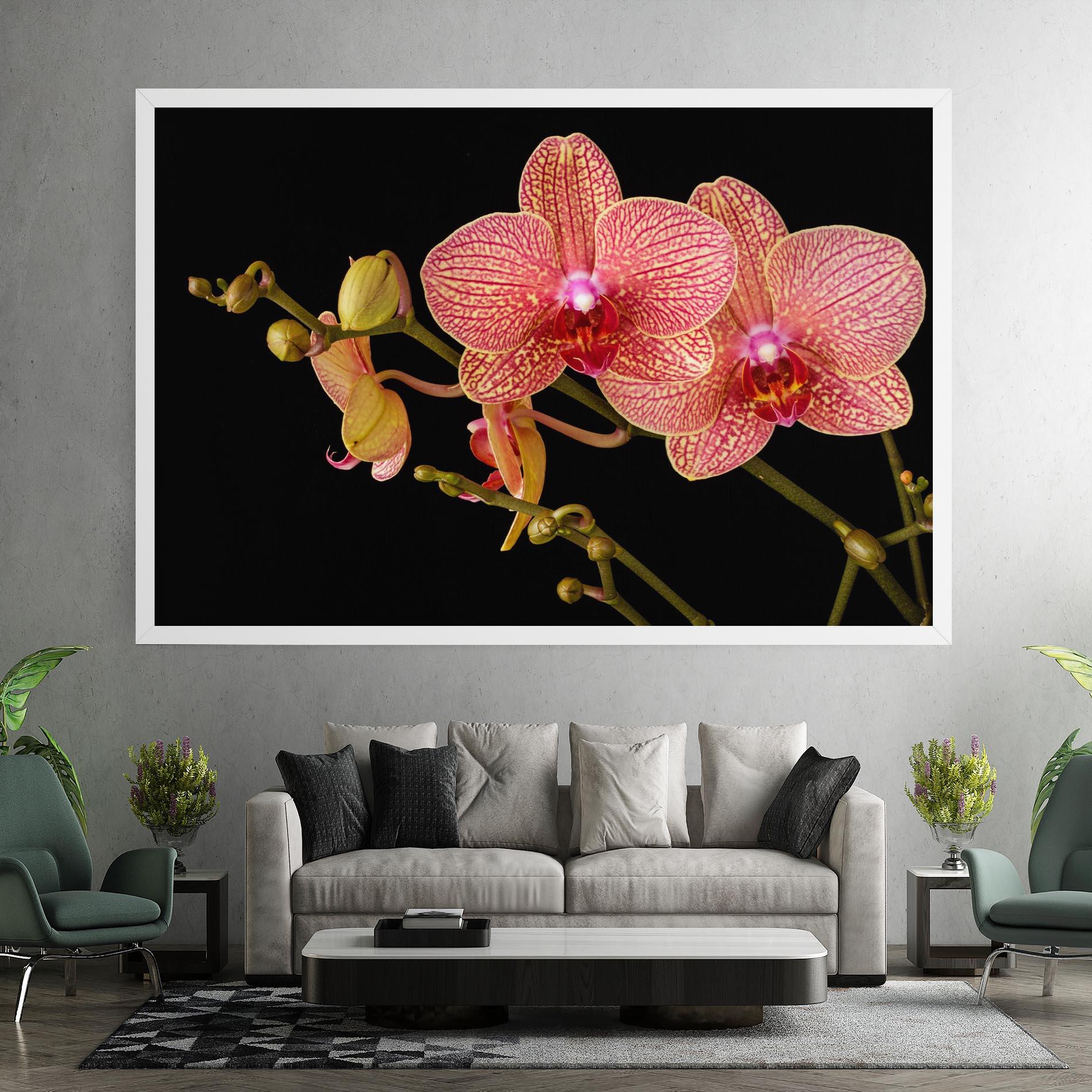Vászonkép Pink Orchids On Black mockup 7