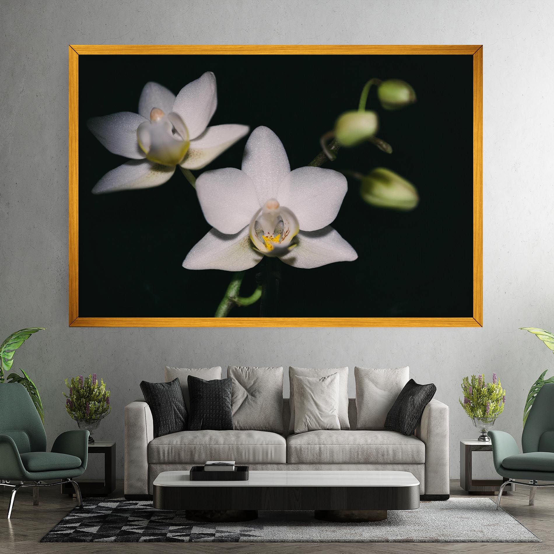 Orchids On Black mockup 7