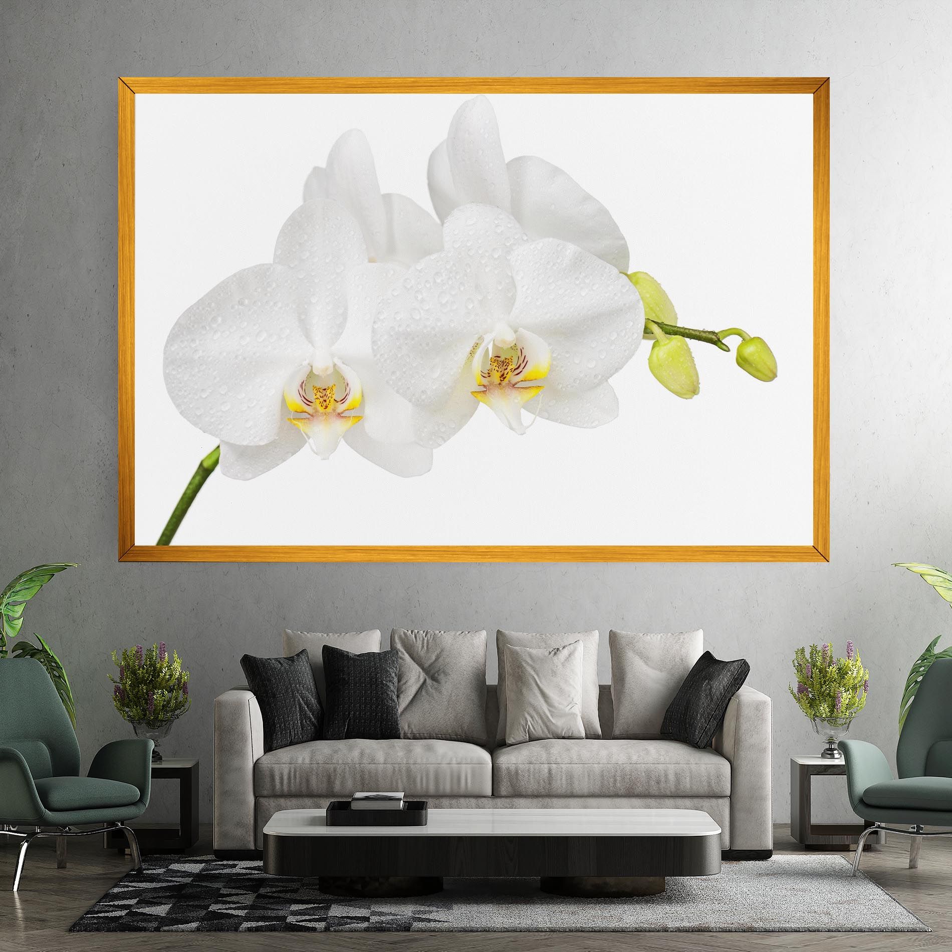 Orchids On White mockup 7
