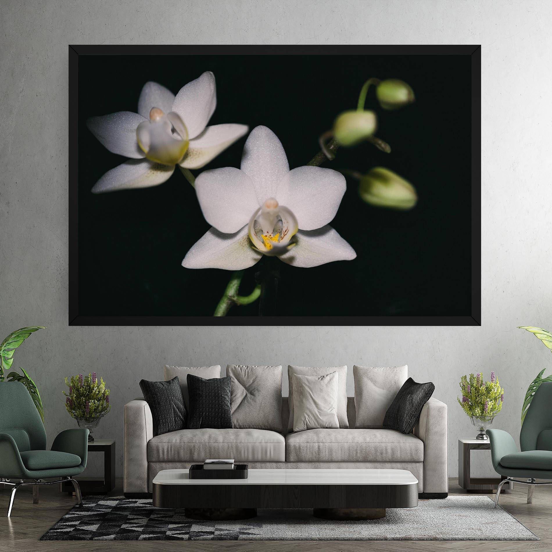 Vászonkép Orchids On Black mockup 7