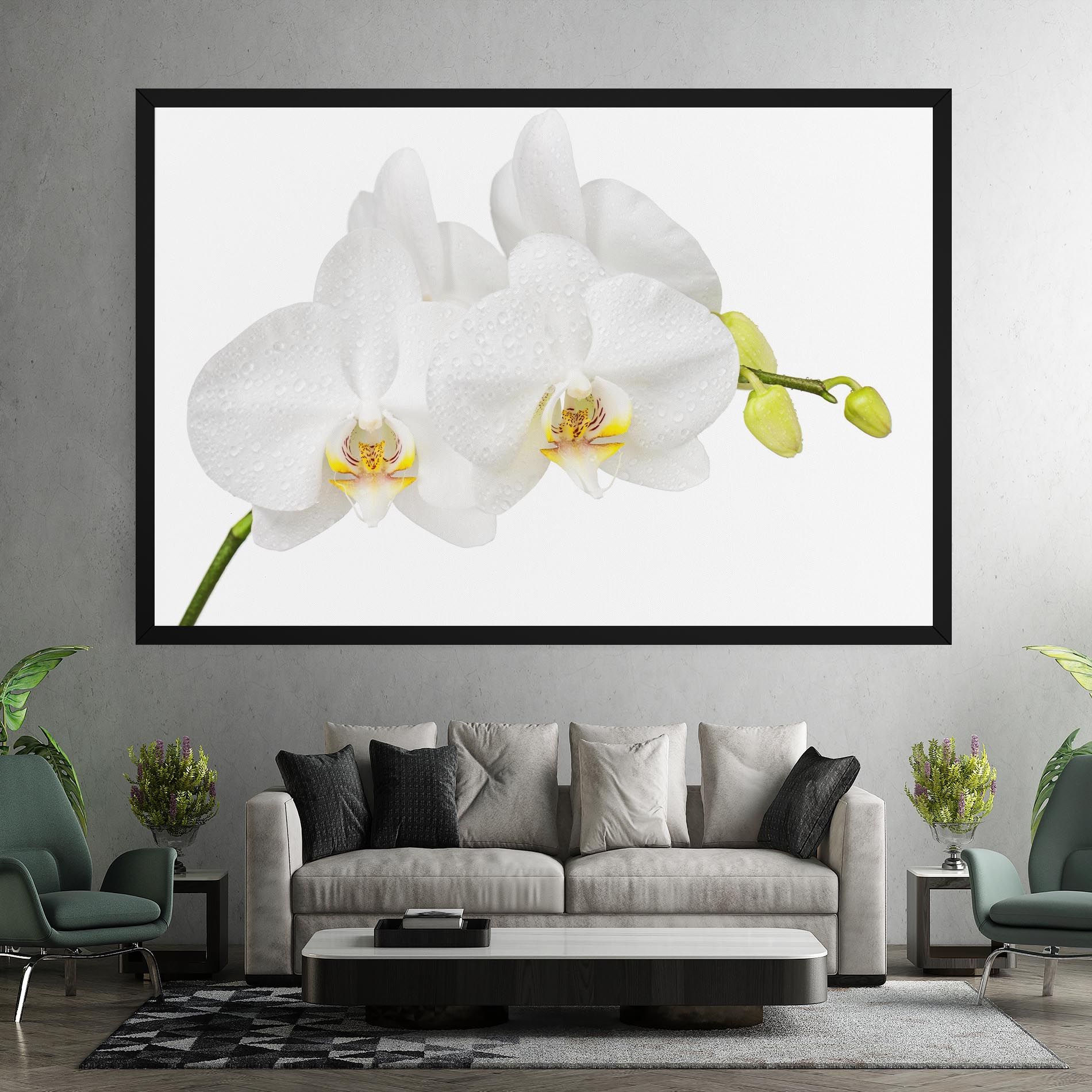 Orchids On White mockup 7