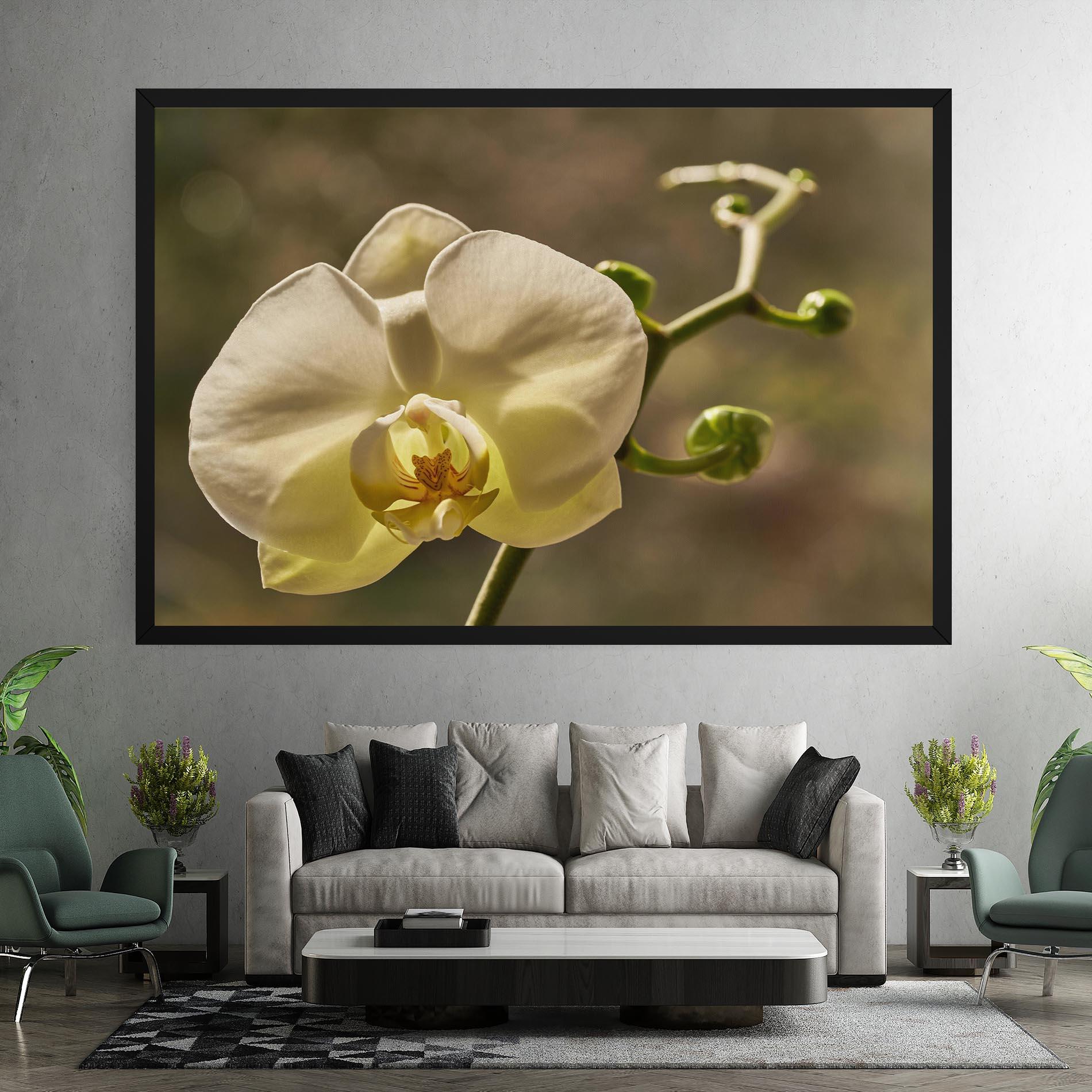 Vászonkép Pastel Yellow Orchid In Garden mockup 7