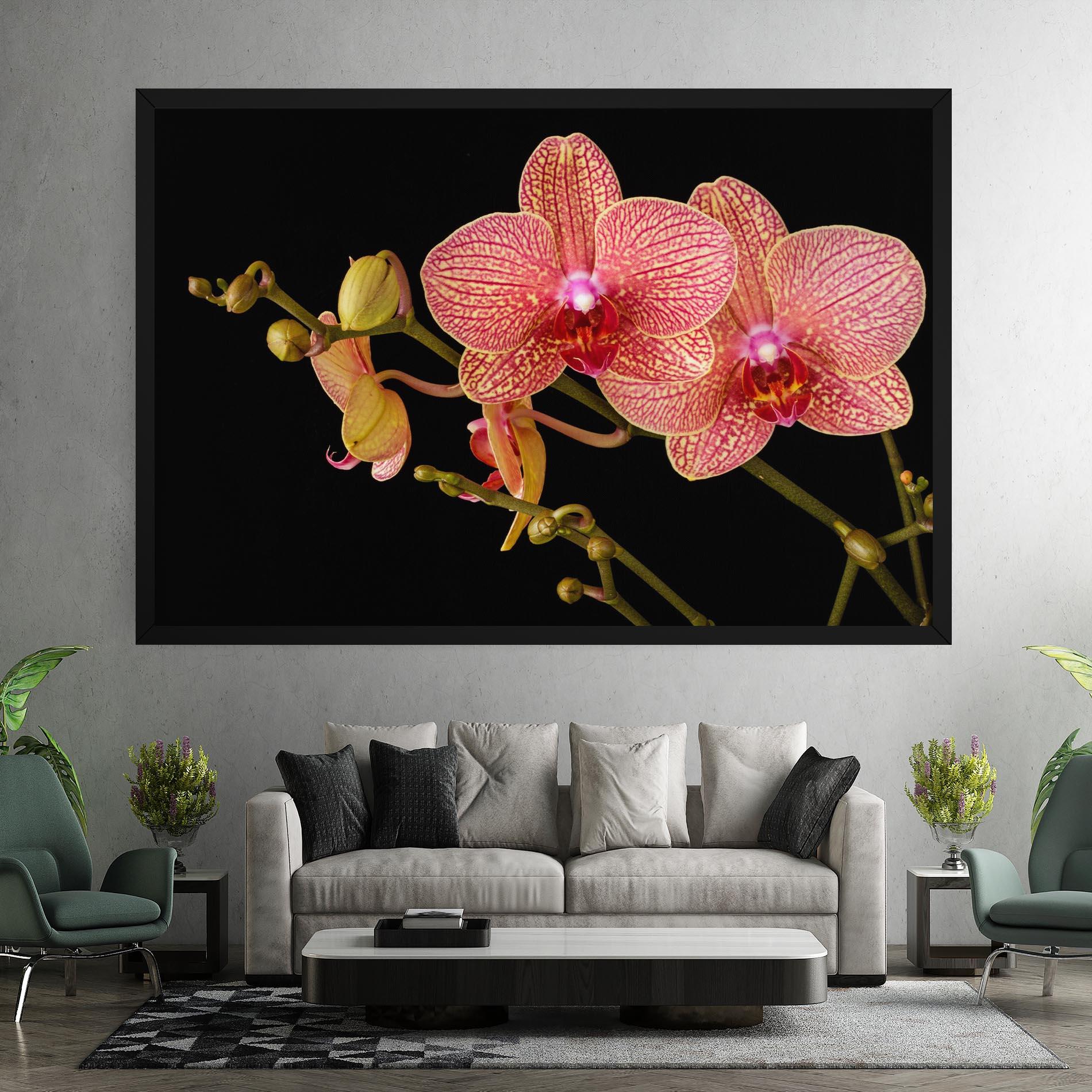 Vászonkép Pink Orchids On Black mockup 7