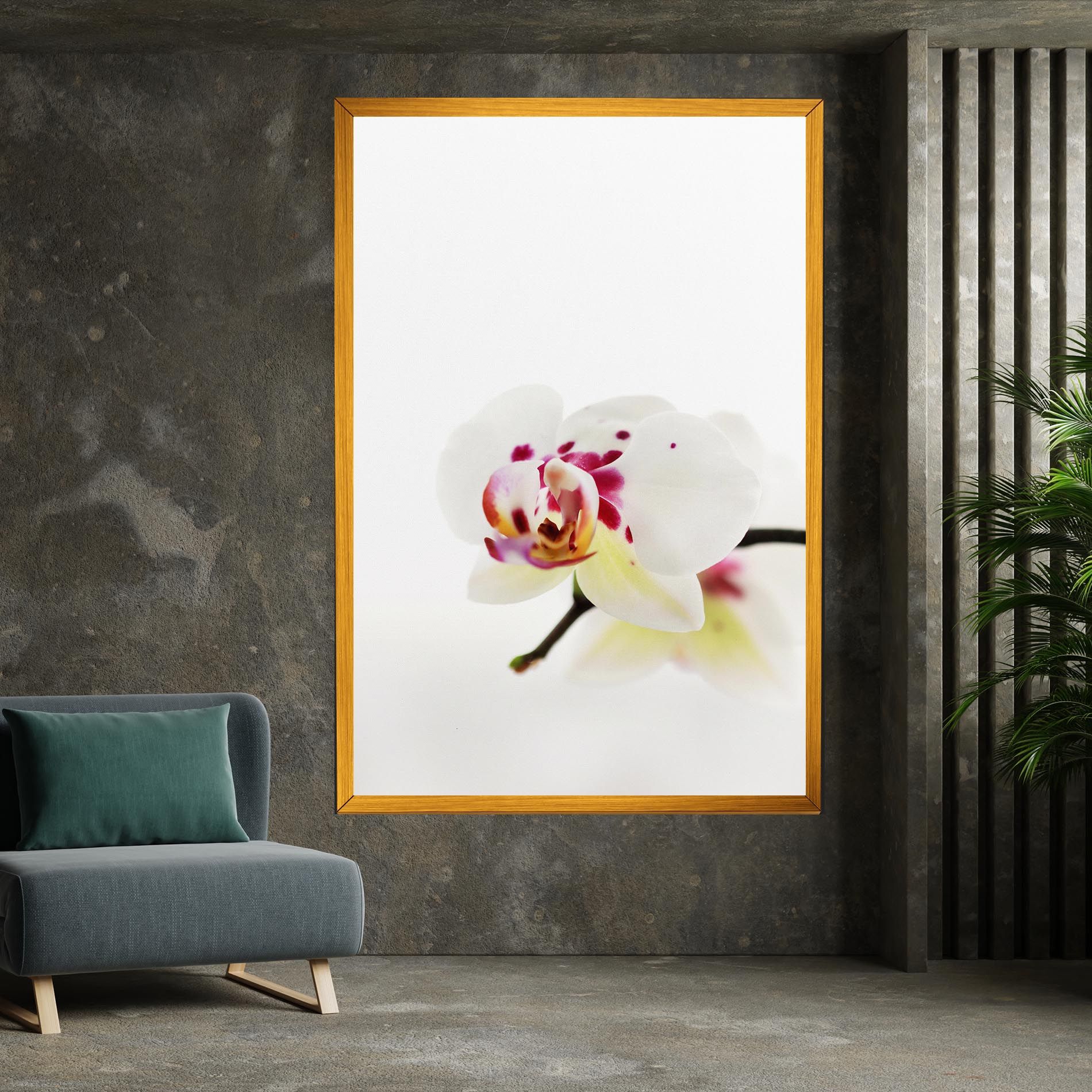 Clean White Orchid mockup 7