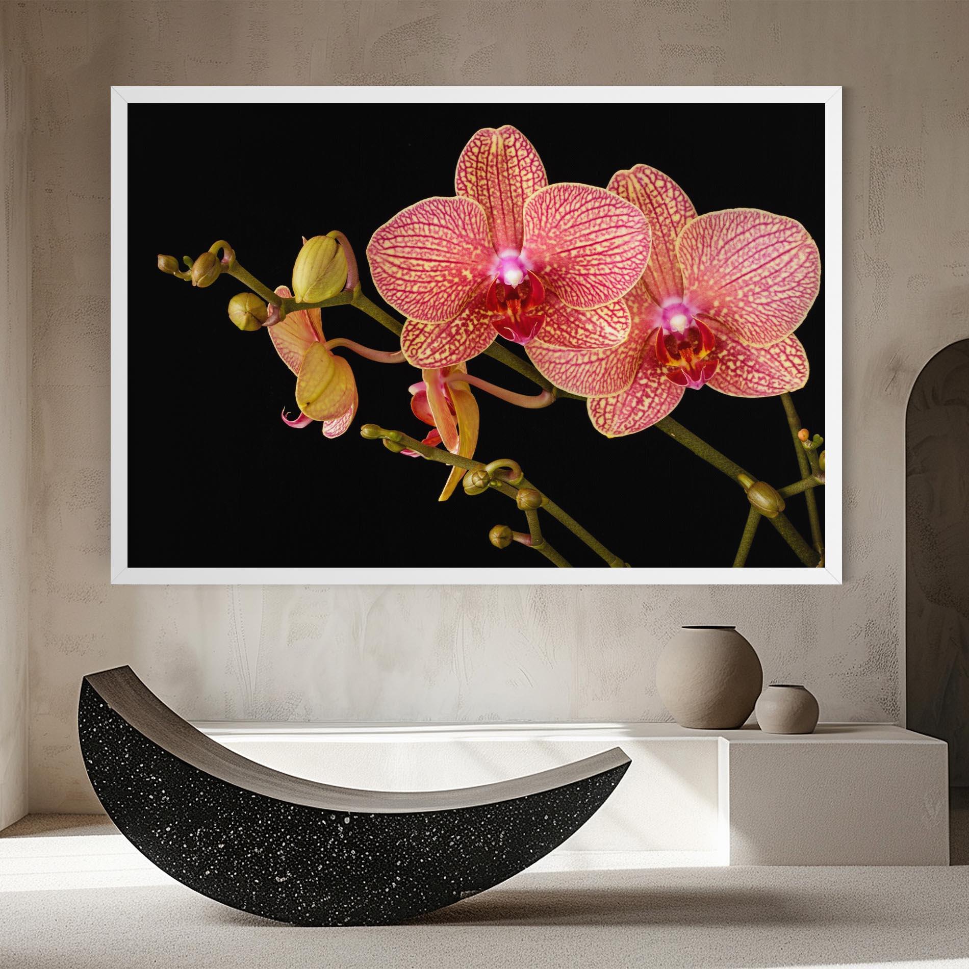 Vászonkép Pink Orchids On Black mockup 8