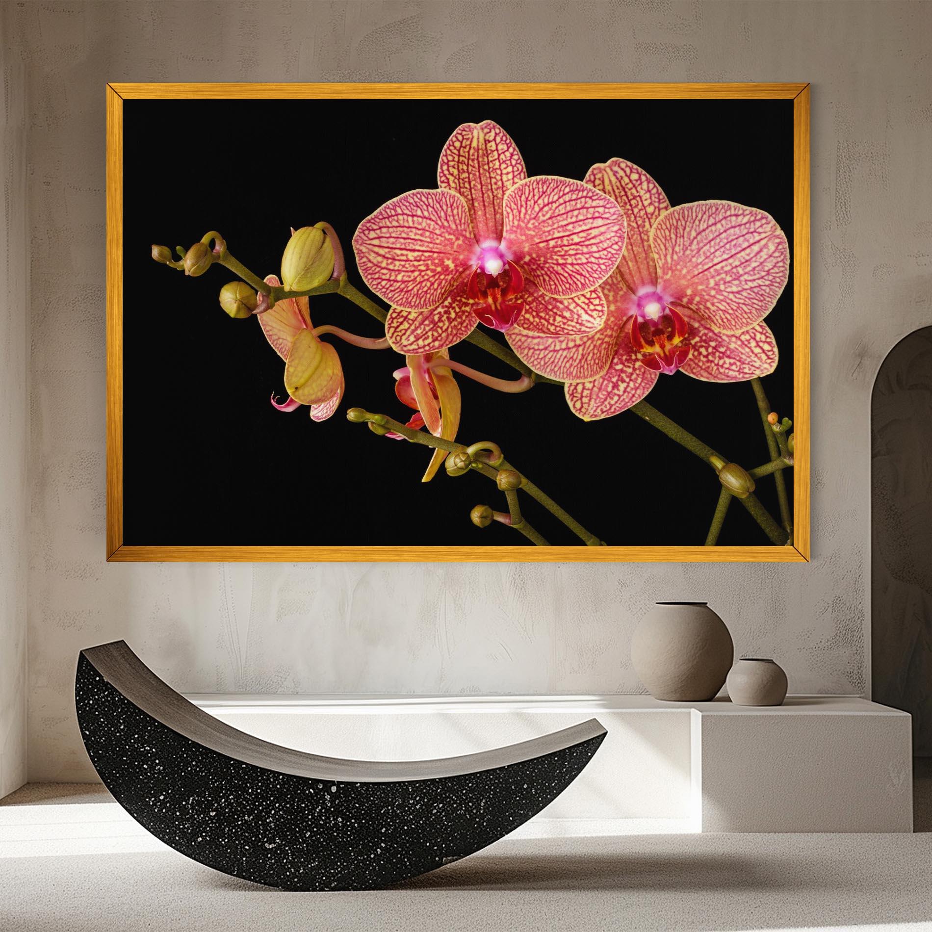 Vászonkép Pink Orchids On Black mockup 8