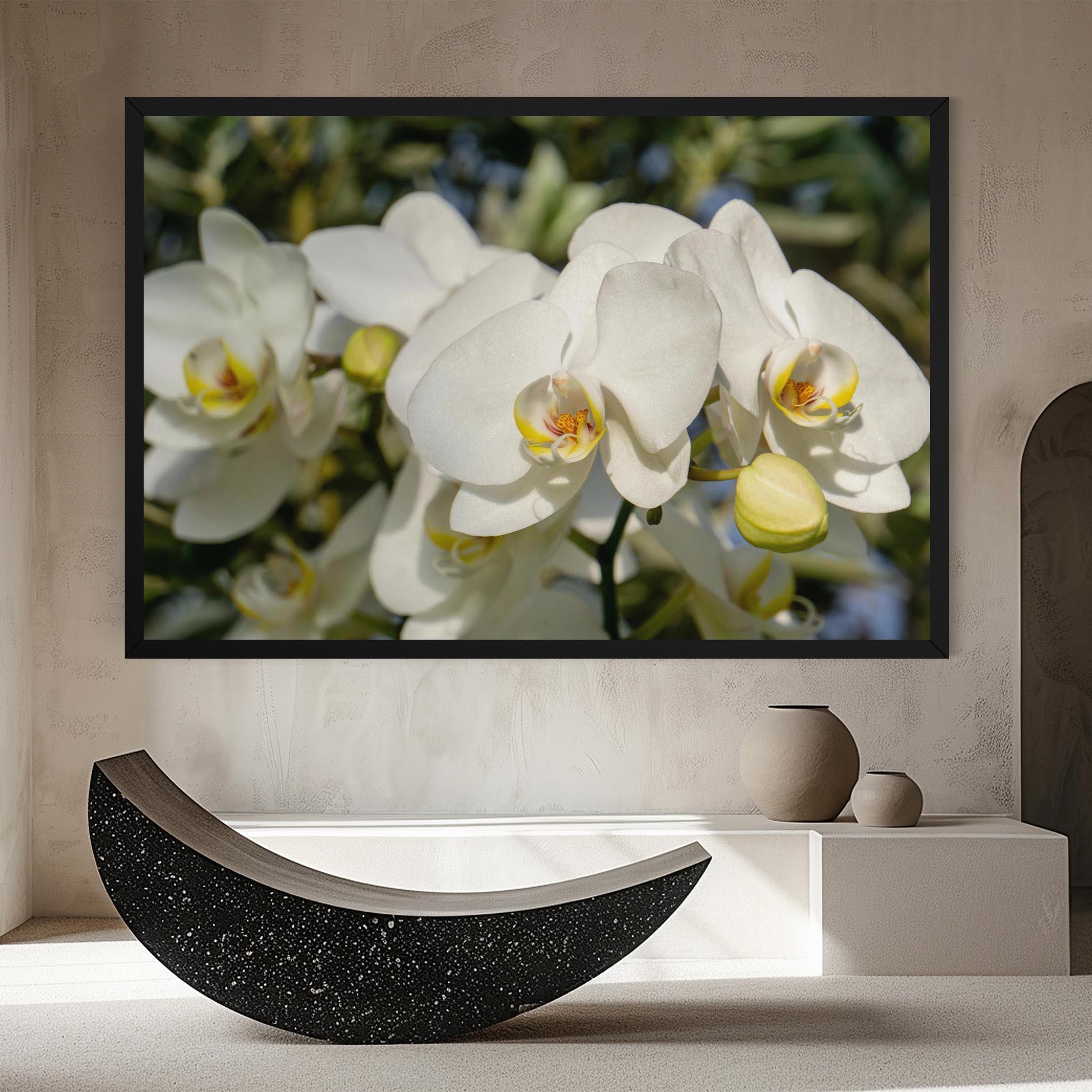 Vászonkép Big Orchids In Nature mockup 8