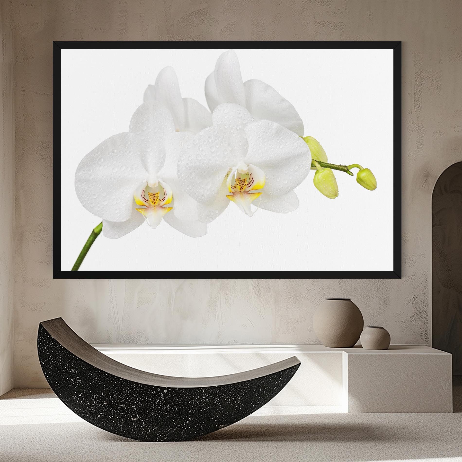 Orchids On White mockup 8