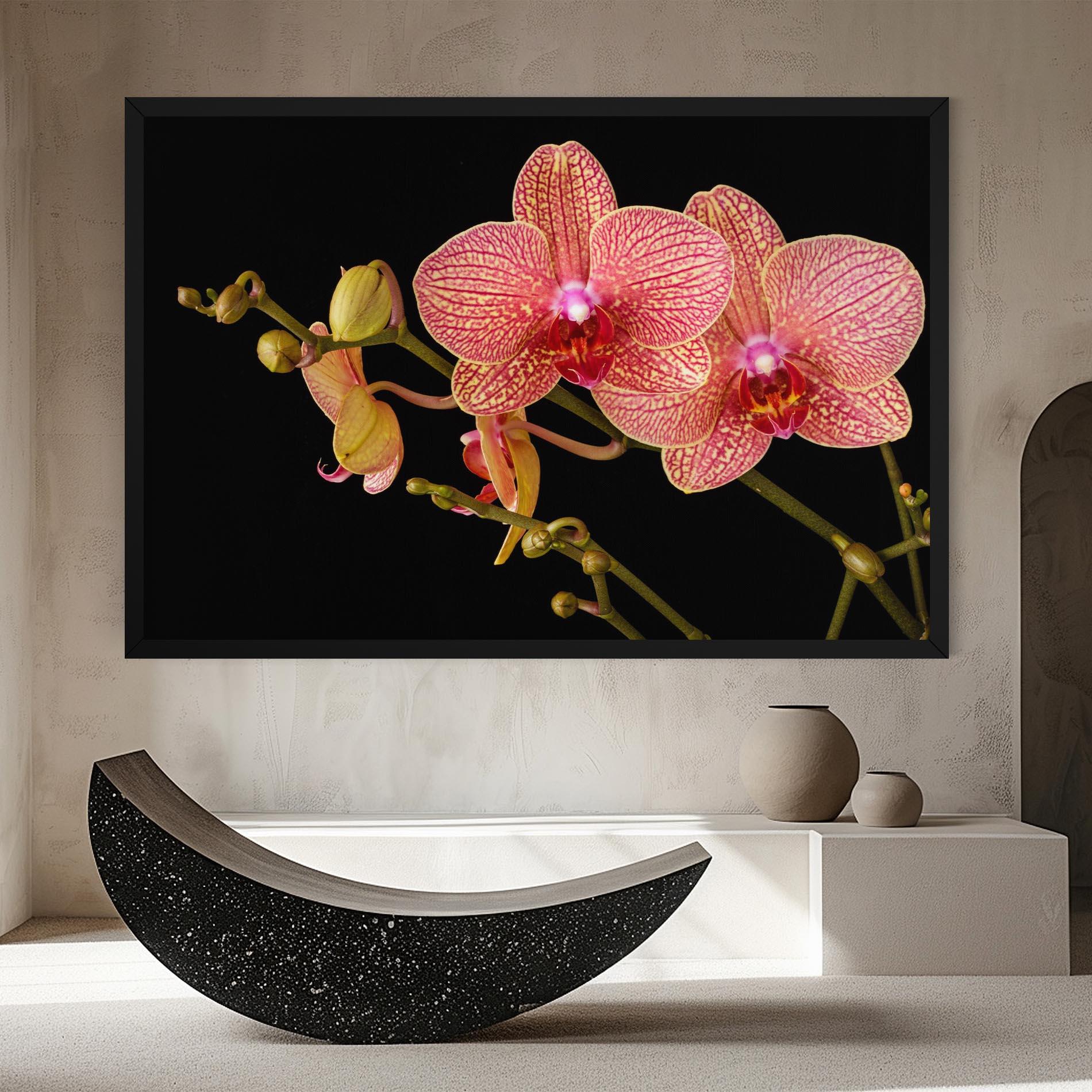 Vászonkép Pink Orchids On Black mockup 8