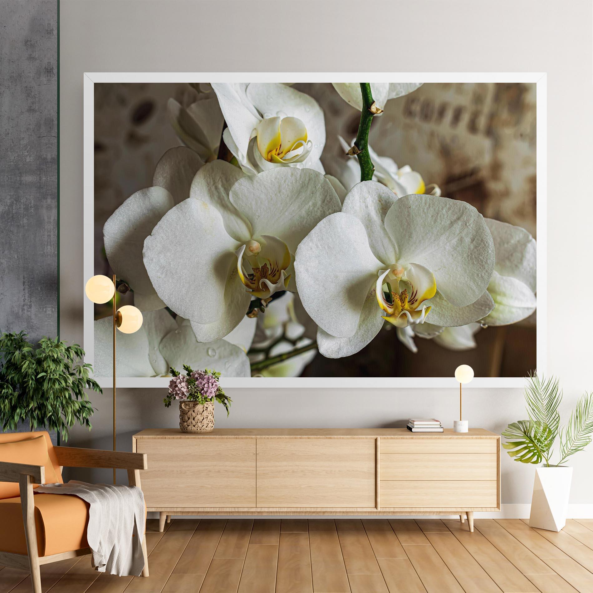 Vászonkép Beautiful White Orchids mockup 9