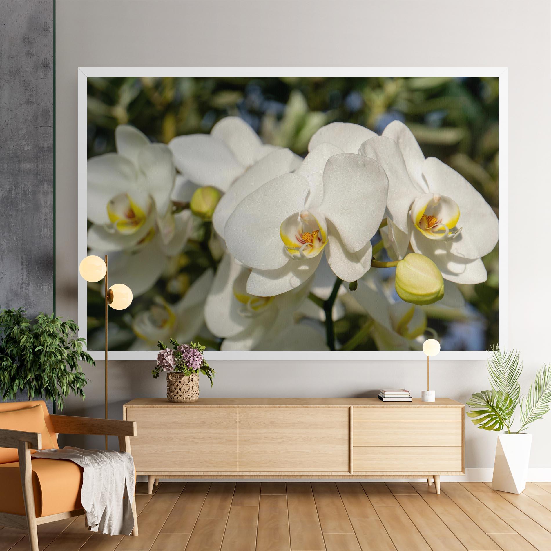 Vászonkép Big Orchids In Nature mockup 9