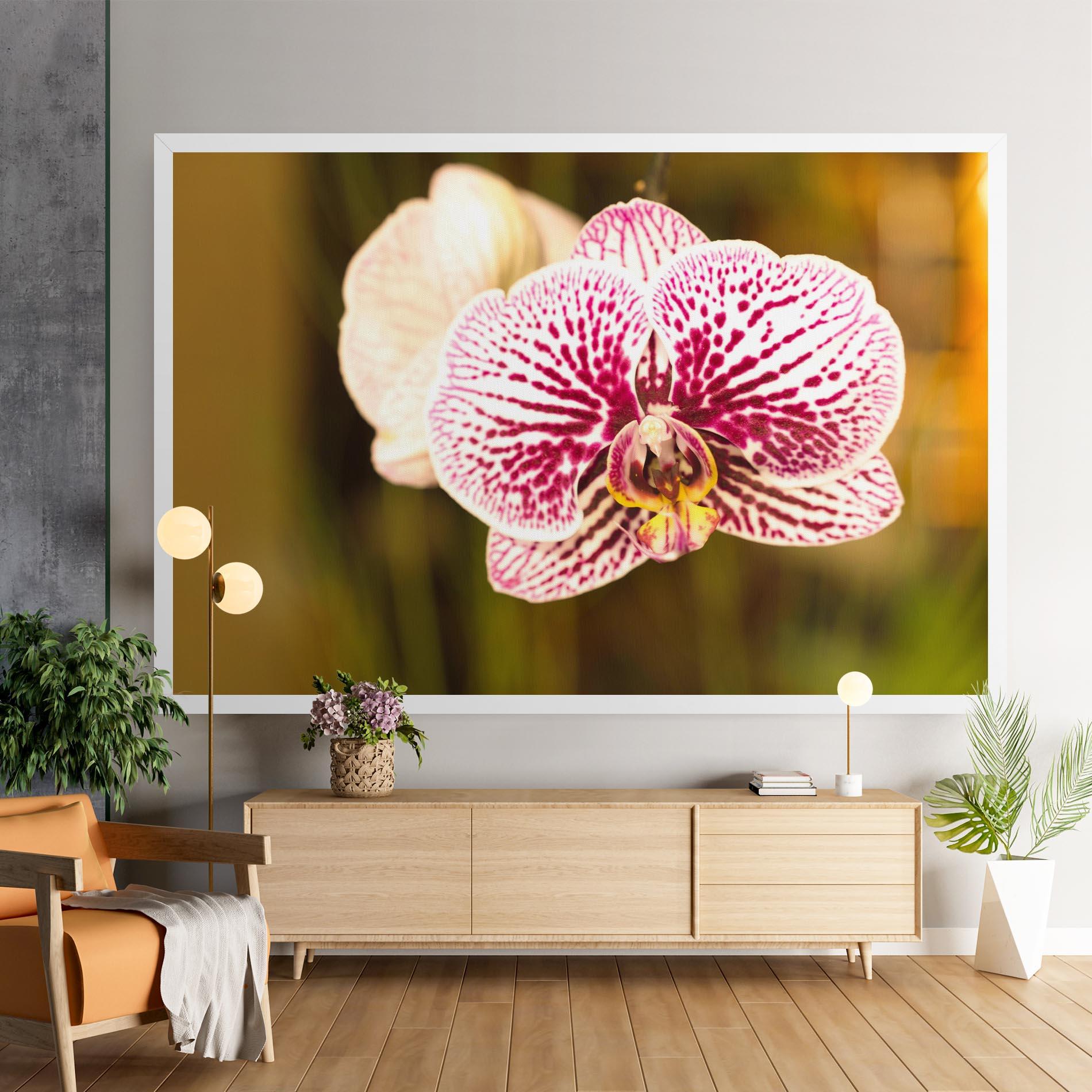 Vászonkép Garden Orchids mockup 9