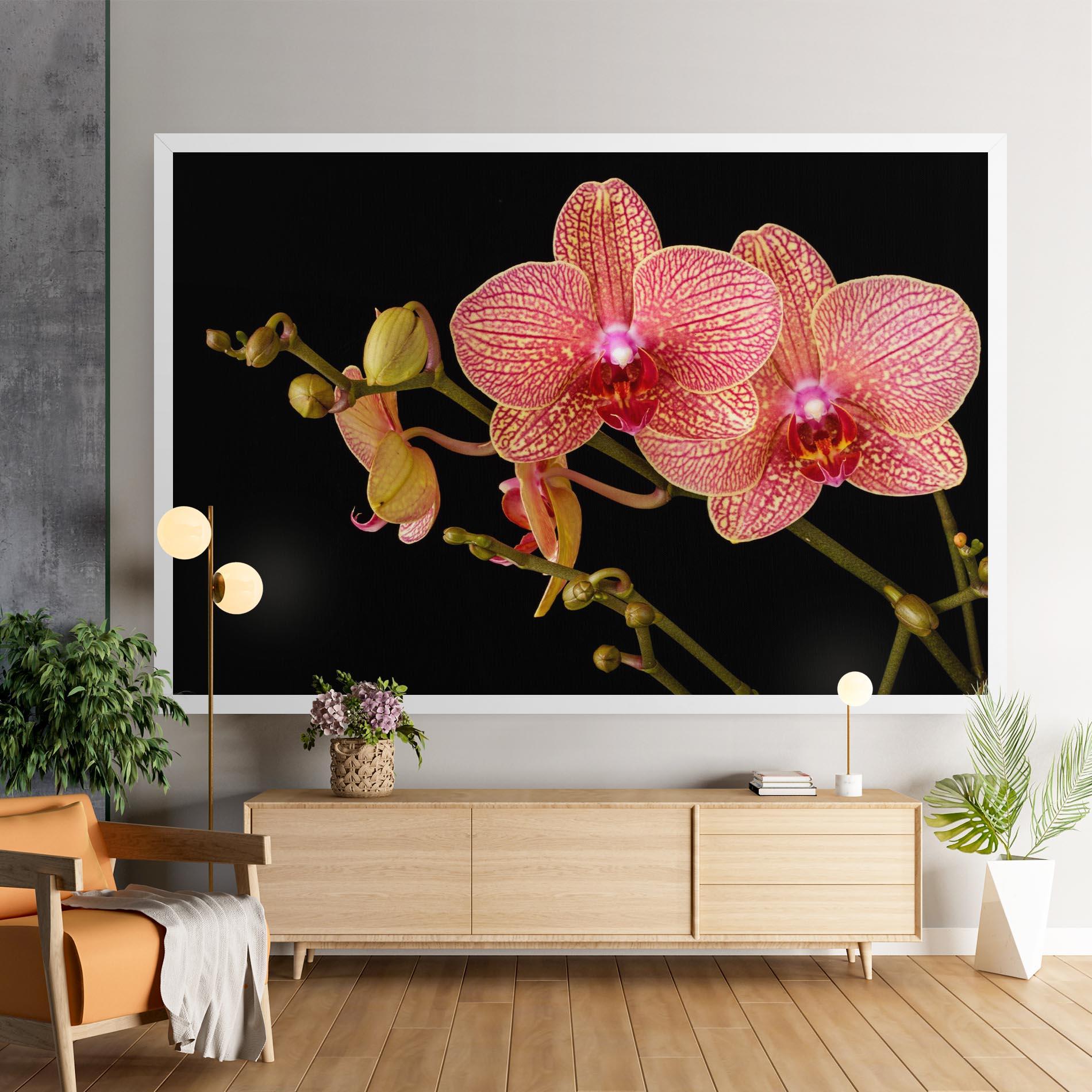 Vászonkép Pink Orchids On Black mockup 9