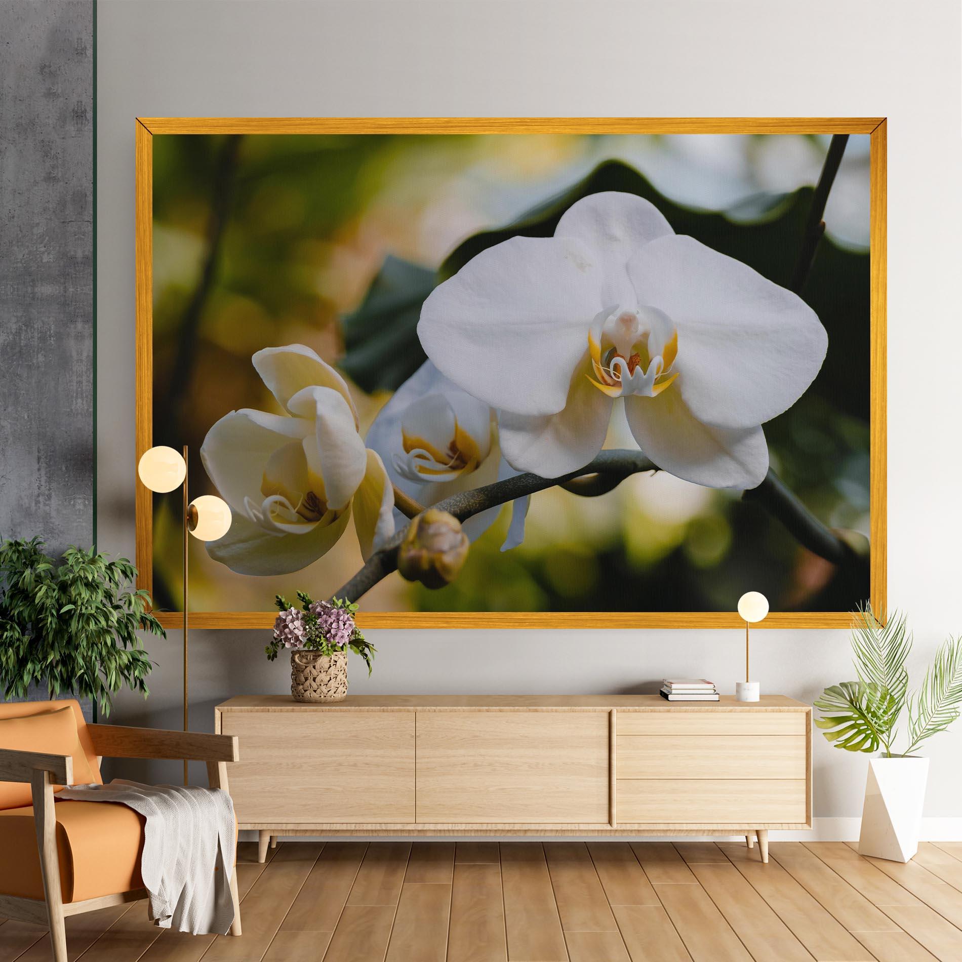 Vászonkép Cream Orchid In Nature mockup 9