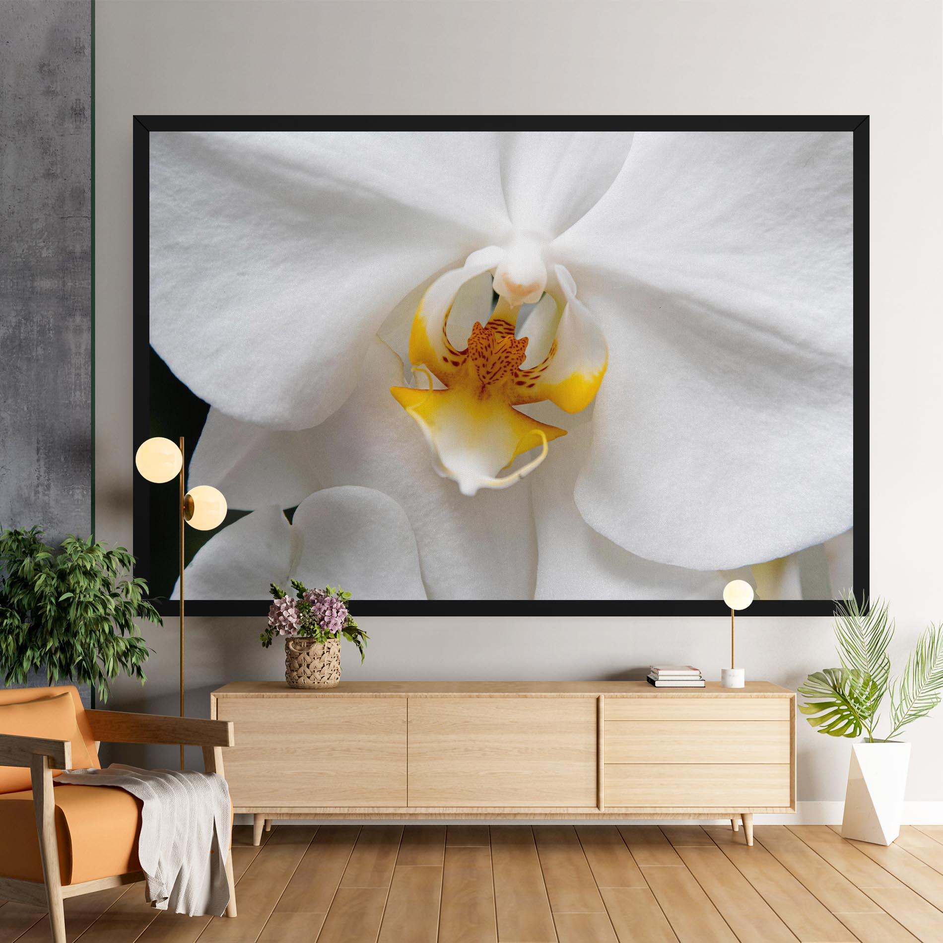 Vászonkép Big Orchid Close Up mockup 9