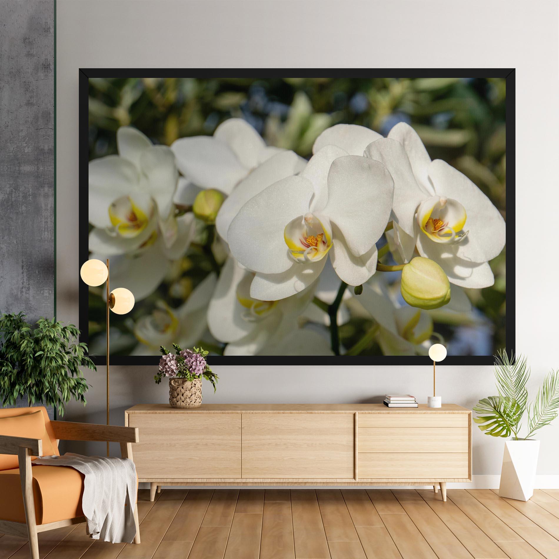 Vászonkép Big Orchids In Nature mockup 9