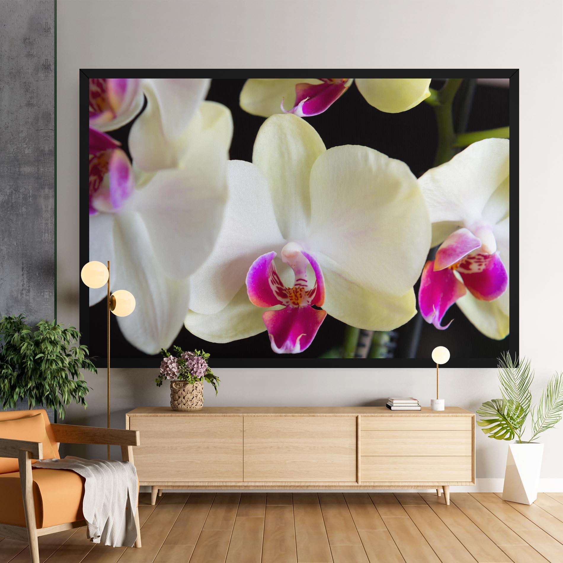 Vászonkép Cream Purple Orchids mockup 9