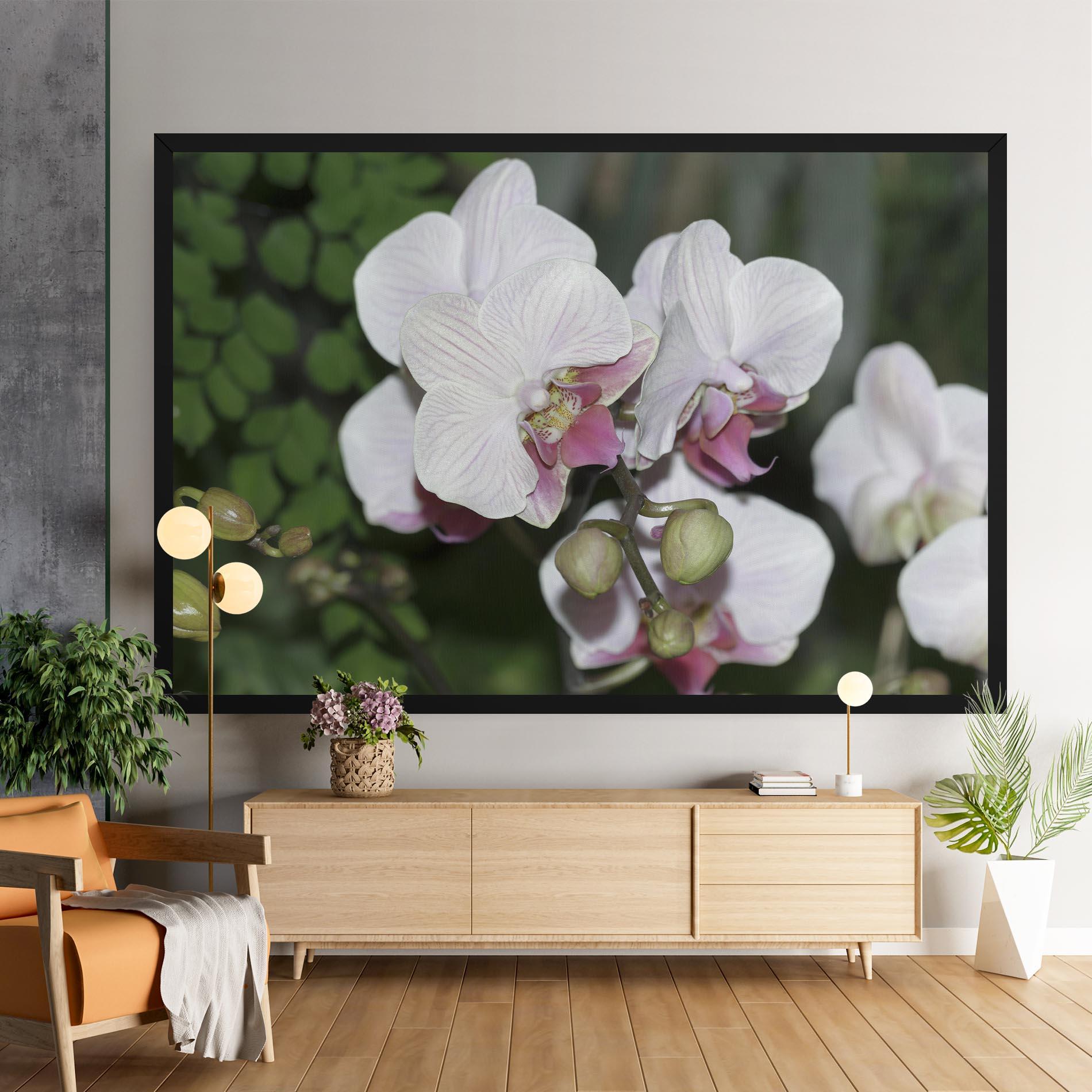 Vászonkép Orchid Botanical Garden mockup 9