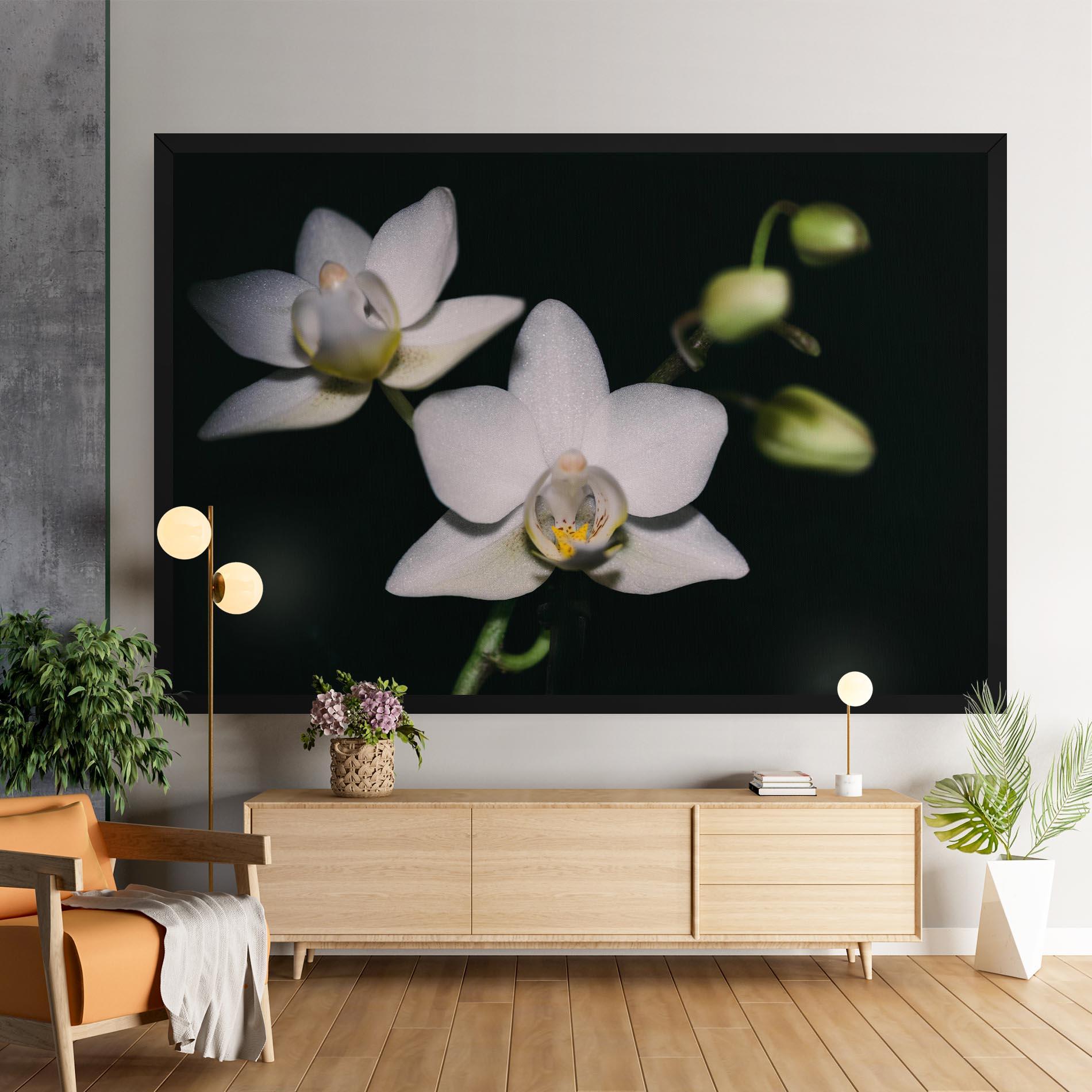 Vászonkép Orchids On Black mockup 9