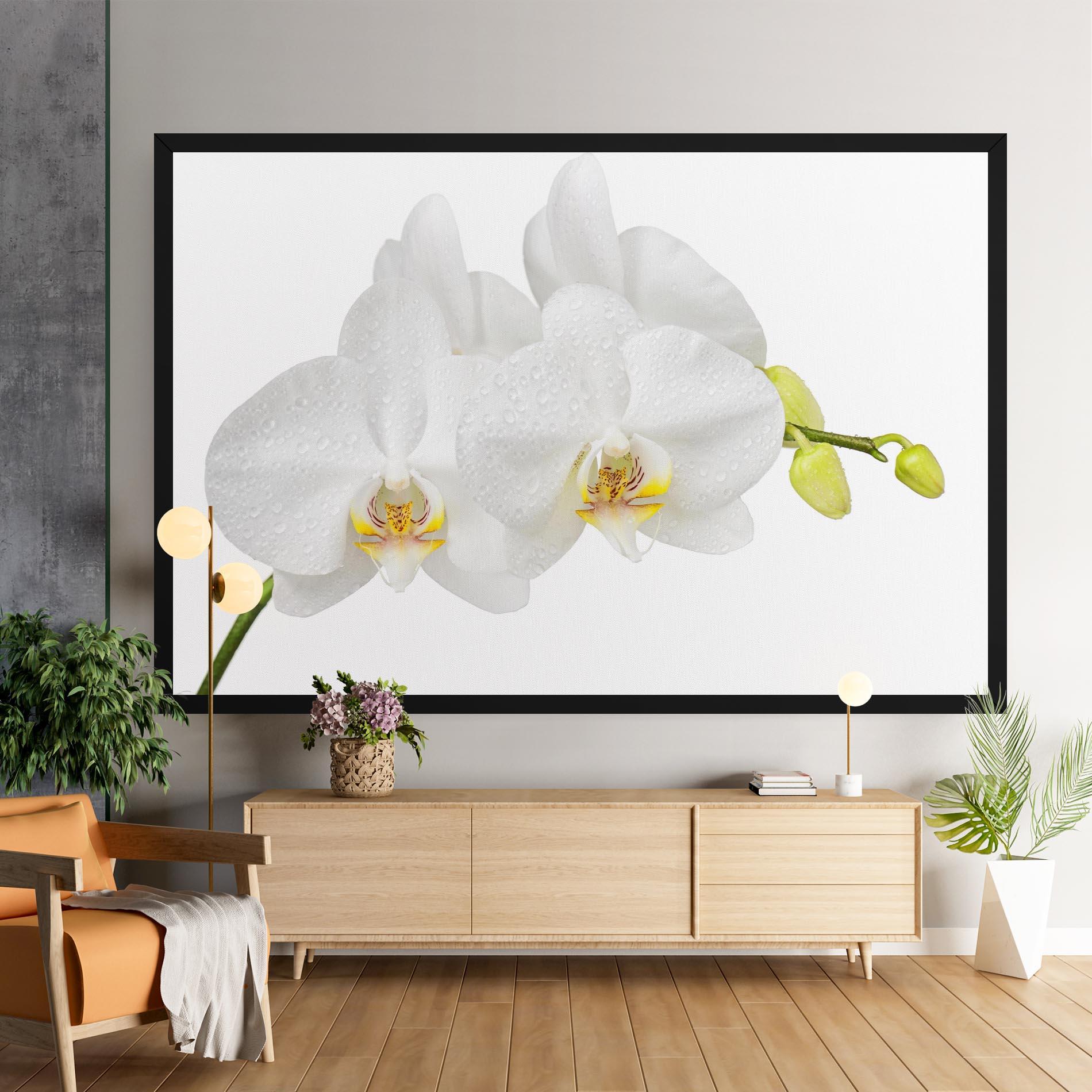 Vászonkép Orchids On White mockup 9