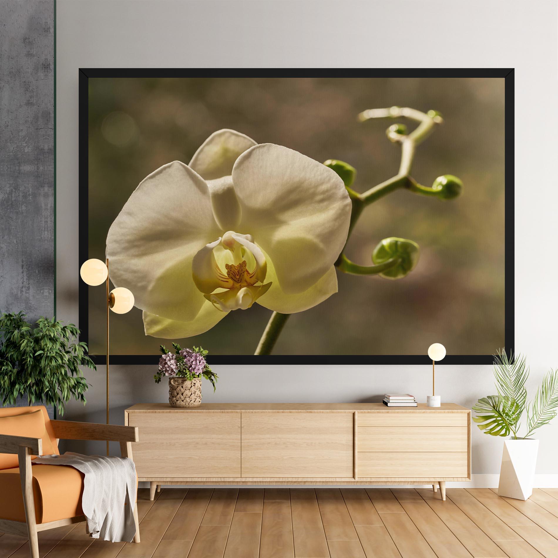 Vászonkép Pastel Yellow Orchid In Garden mockup 9