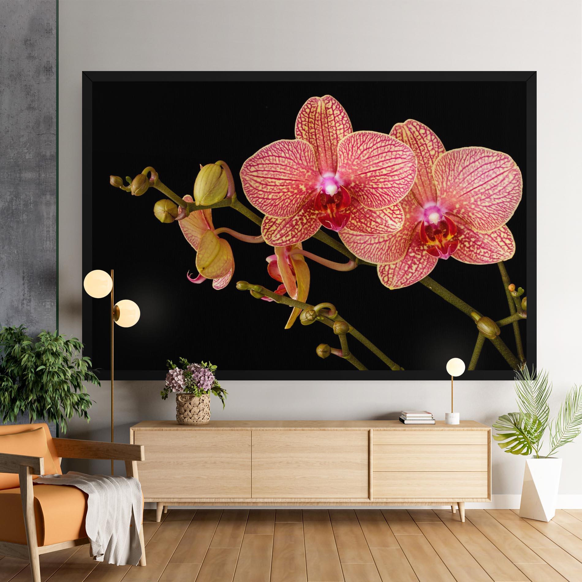 Vászonkép Pink Orchids On Black mockup 9