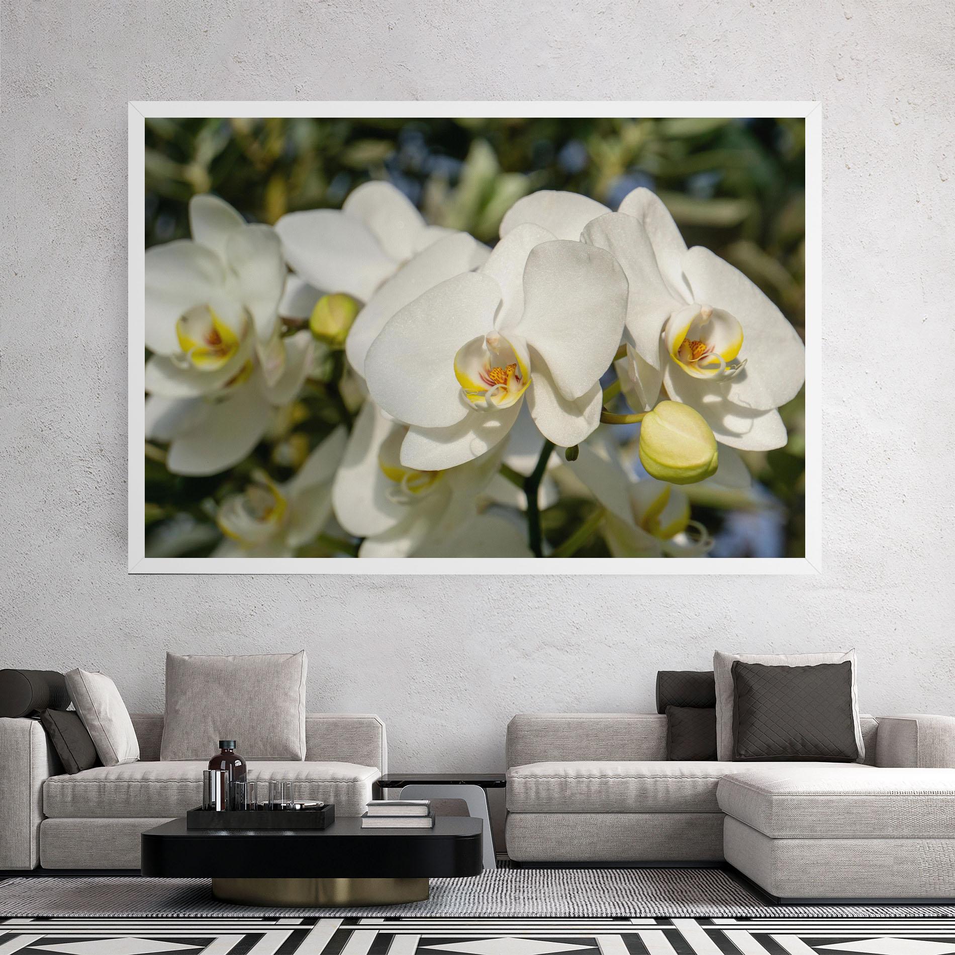 Vászonkép Big Orchids In Nature mockup 2
