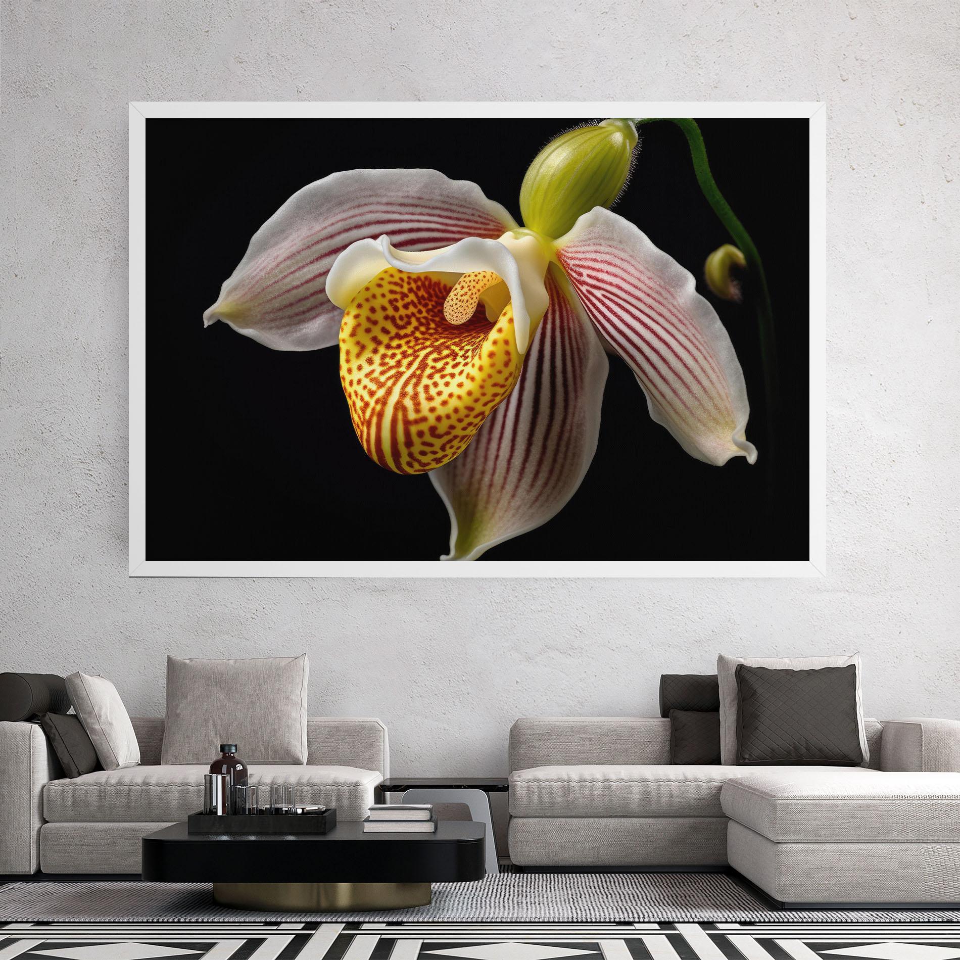 Vászonkép Orchid On Black mockup 2
